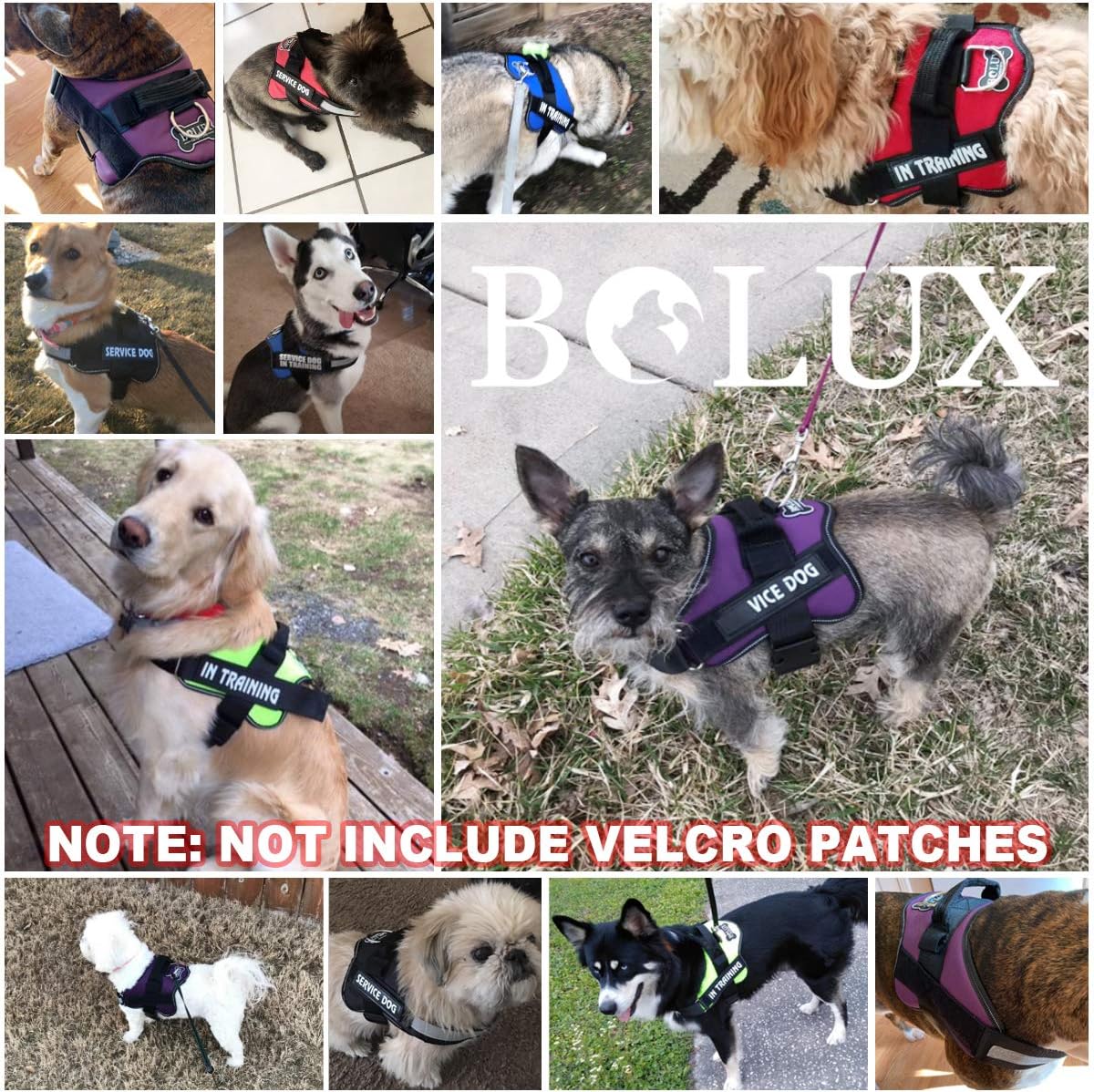 Bolux Dog Harness, No-Pull Reflective Dog Vest, Breathable Adjustable Pet Harness with Handle for Outdoor Walking - No More Pulling, Tugging or Choking (Black, S) - Image 7