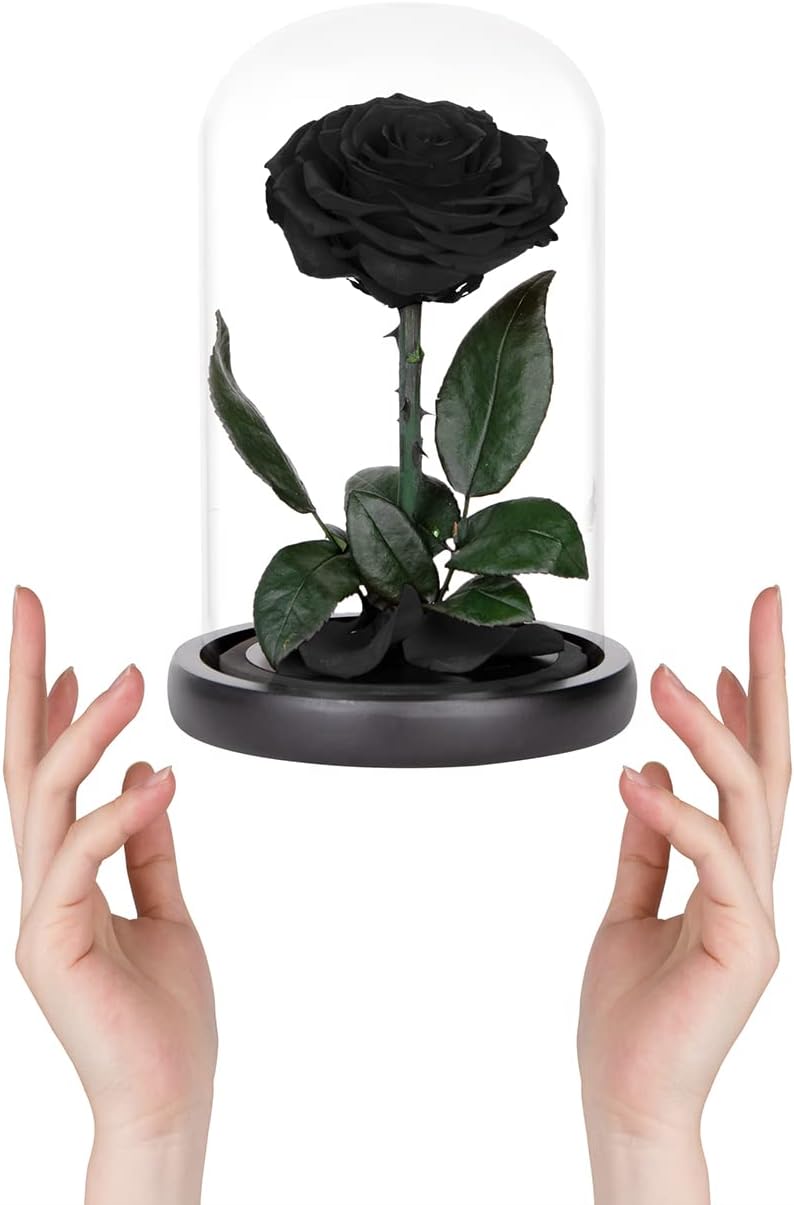 Preserved Roses Black Roses in Glass Dome, Medium, Preserved Flowers for Women - Image 3