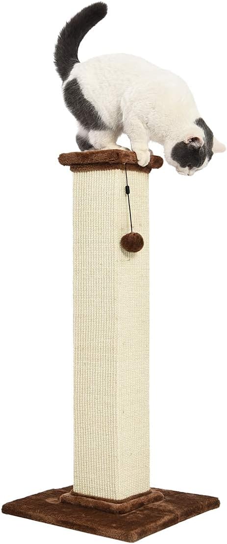 Amazon Basics Sturdy Cat Scratching Post for Indoor Cats & Kittens, Classic Single Post with Sisal Rope, Jute Fiber, Wood Base, Large (35.4"H), Brown - Image 4