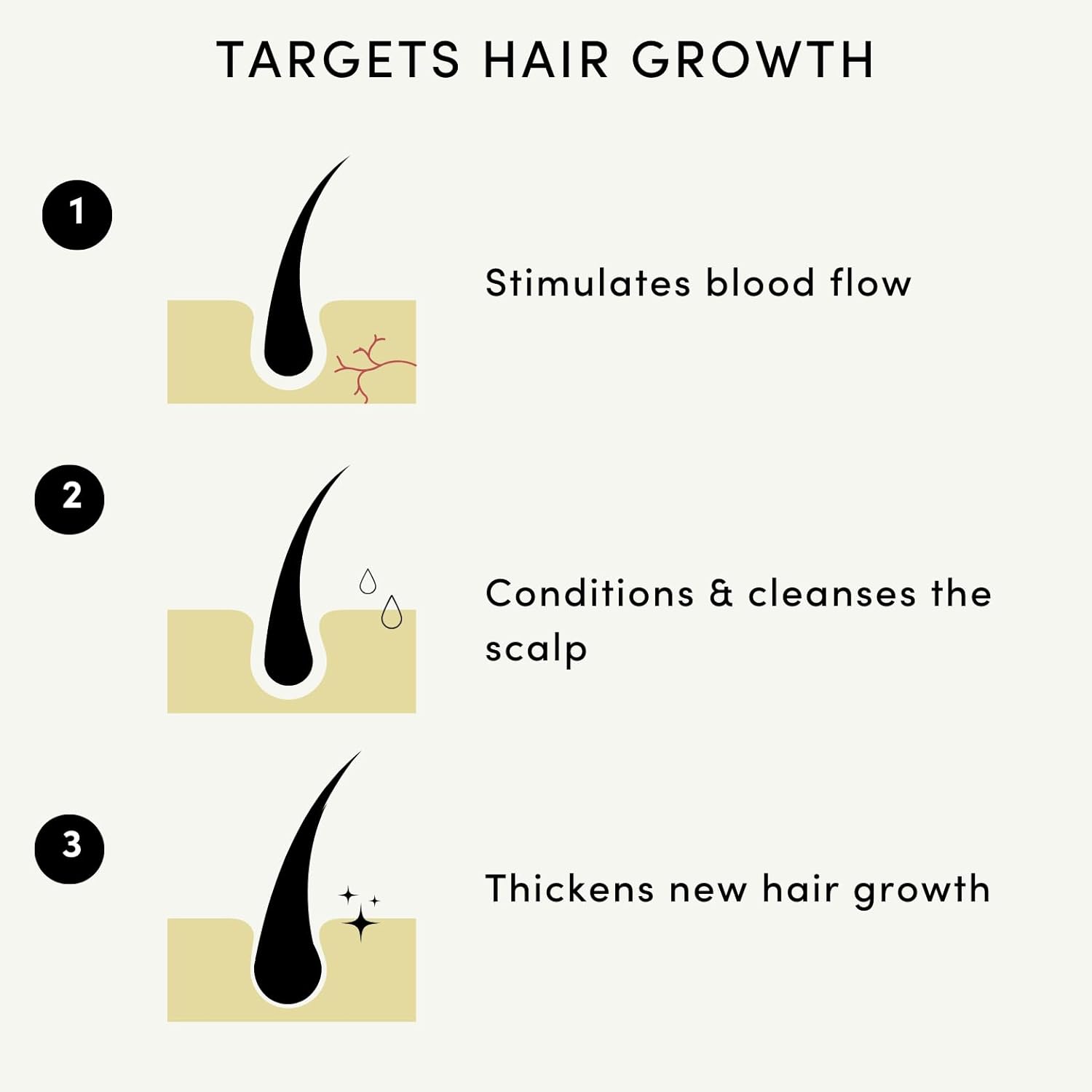 Forest & Shore Hair Growth Oil, 100% Natural, with Caffeine, Biotin, Castor , Argan & Rosemary, Effective Serum for Damaged Hair - Image 3