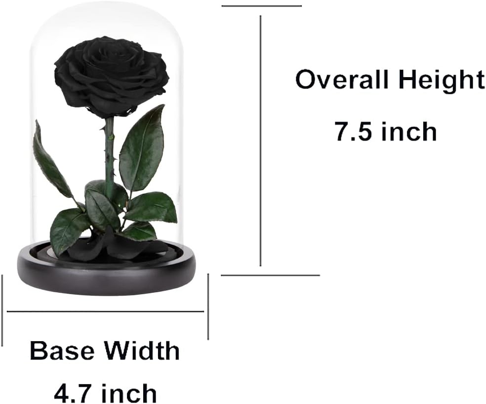 Preserved Roses Black Roses in Glass Dome, Medium, Preserved Flowers for Women - Image 2