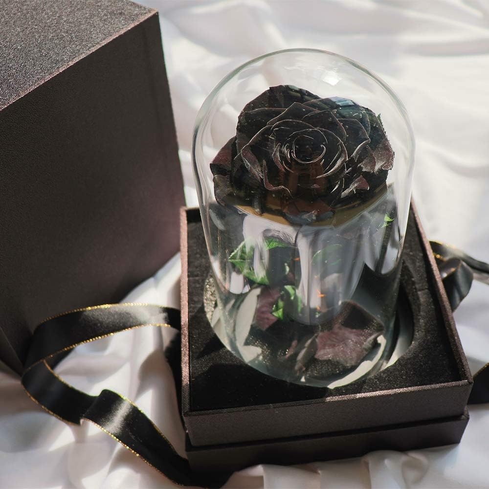Preserved Roses Black Roses in Glass Dome, Medium, Preserved Flowers for Women - Image 4