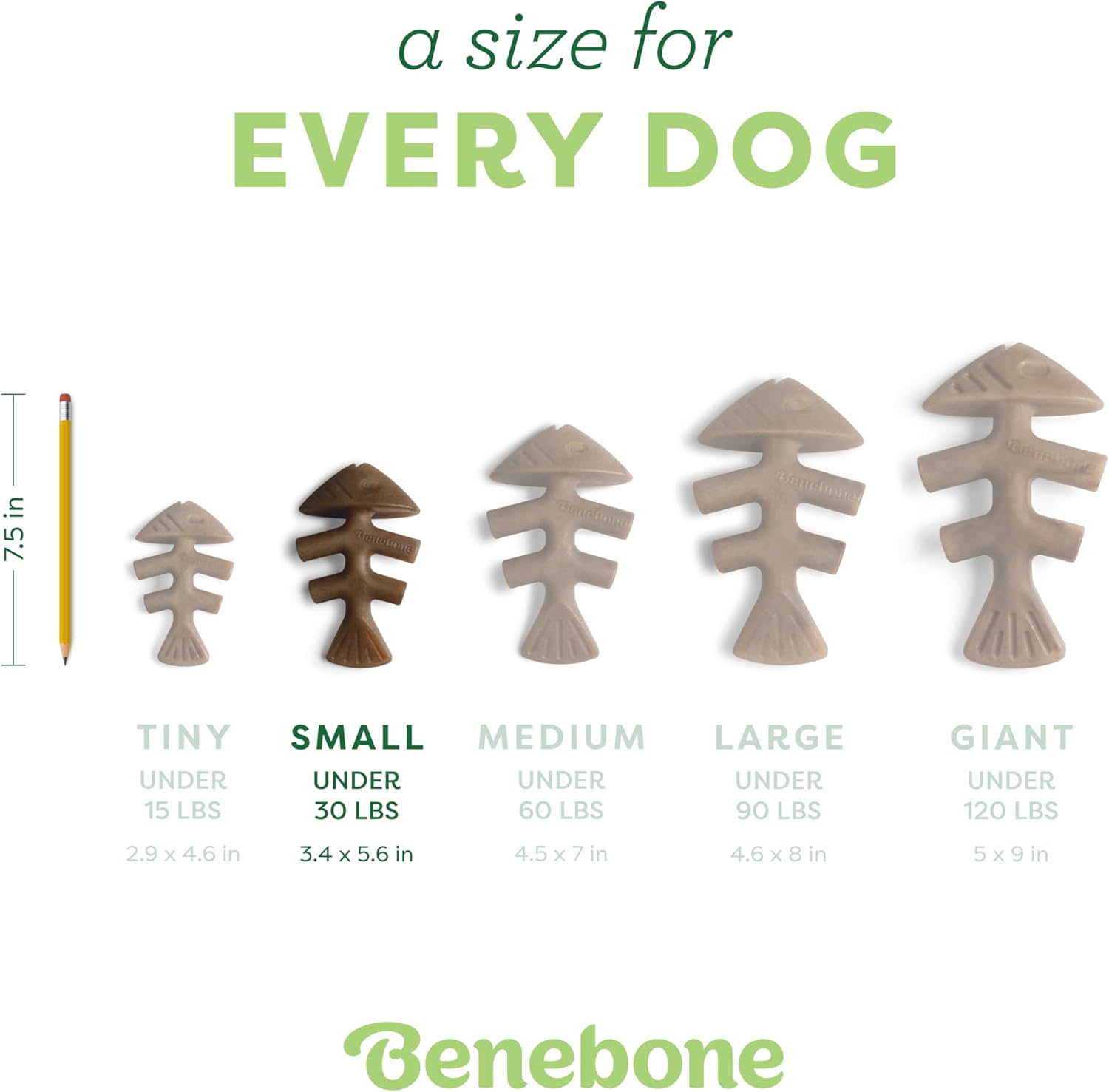 Benebone Fishbone Durable Dog Chew Toy for Aggressive Chewers, Real Fish, Made in USA, Small - Image 4
