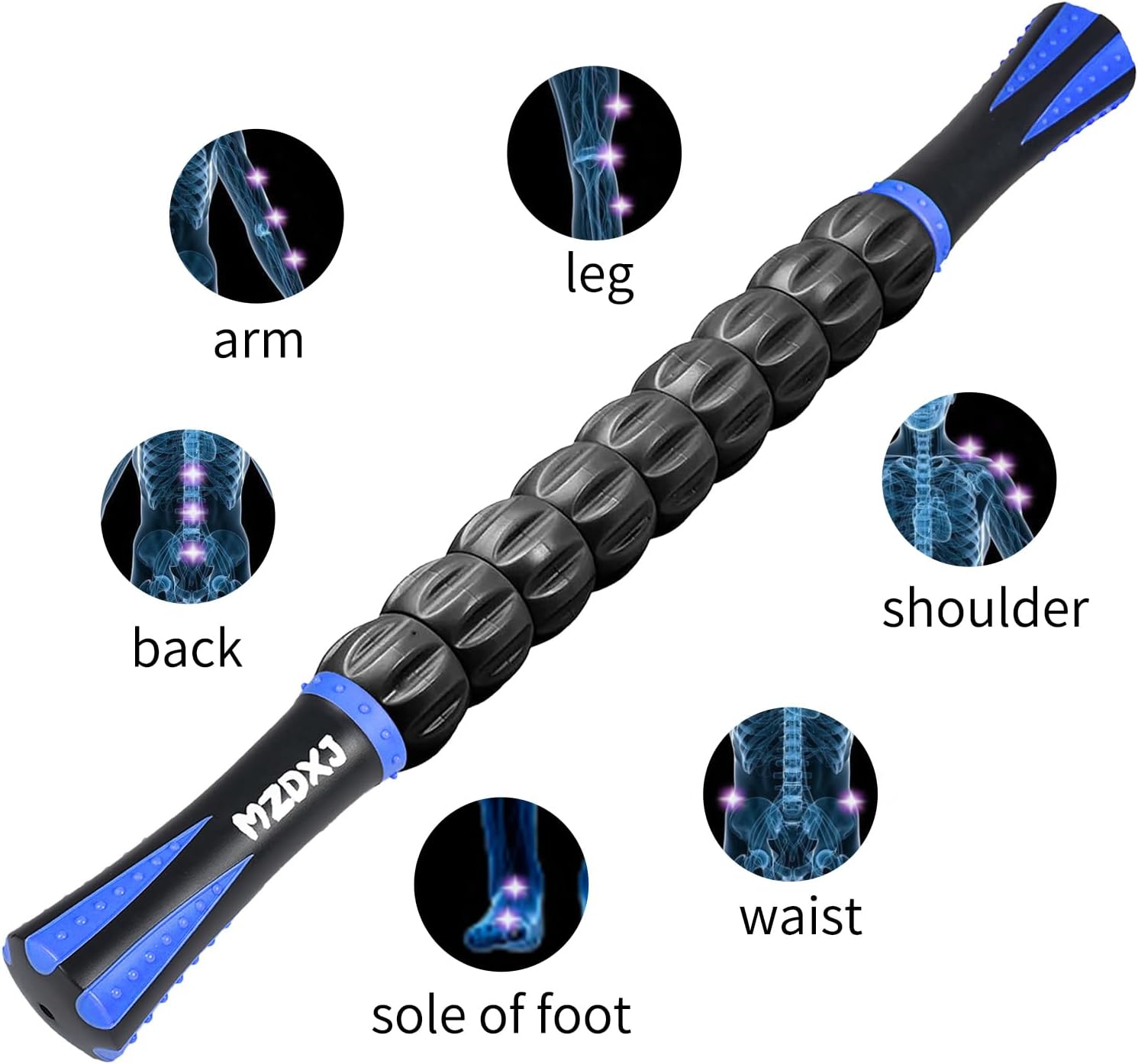 Muscle Roller Massage Roller Stick- Deep Tissue Fascia Blaster for Myofascial Pain Relief, Lymphatic Drainage & Body Sculpting, Handheld Physical Therapy & Recovery Tool (Blue black-18 inch) - Image 6