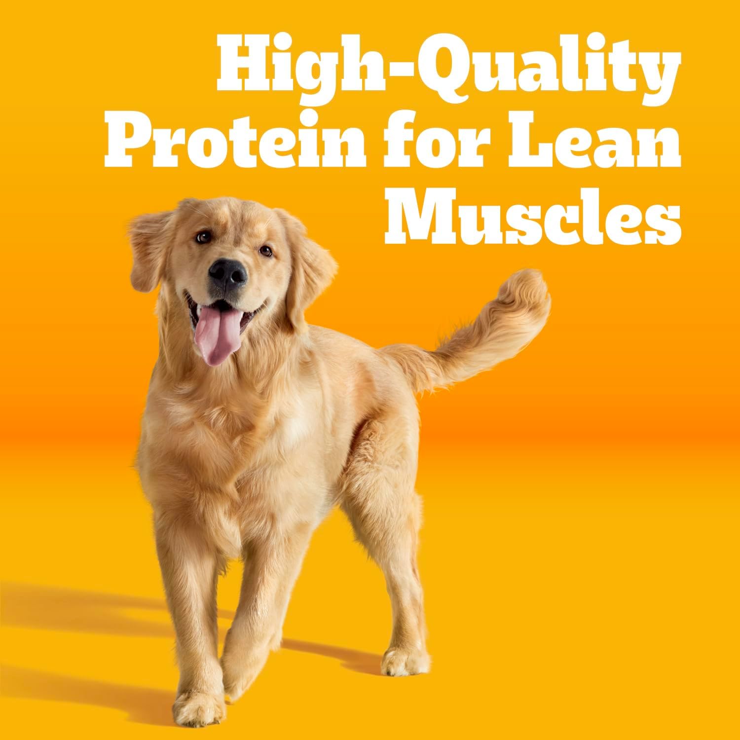 Pedigree Dry Dog Food for Adult Dogs, High Protein, Beef and Lamb Flavor, 18 lb. Bag - Image 2