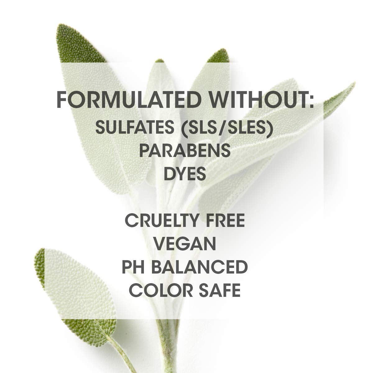 SEVEN Haircare SATARA Relax Serum, Hair Oil for Men & Women, Straightening Serum for Shine, Frizzy, Dry, Damaged Hair, Anti Frizz Thermal Protection with Rosemary & Chamomile, Made in USA, 3.2 oz - Image 5