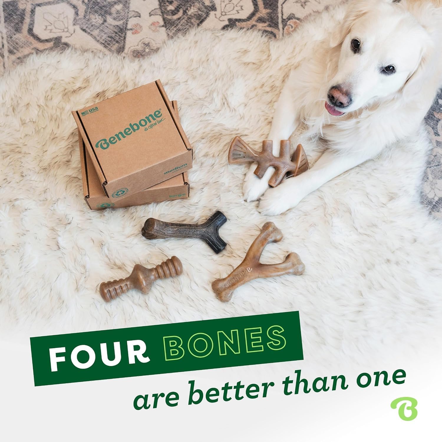 Benebone Medium 4-Pack Dog Toys for Aggressive Chewers – Durable Dog Bones, Made in USA – Dog Toys for Medium Dogs Under 60 lbs - Image 5