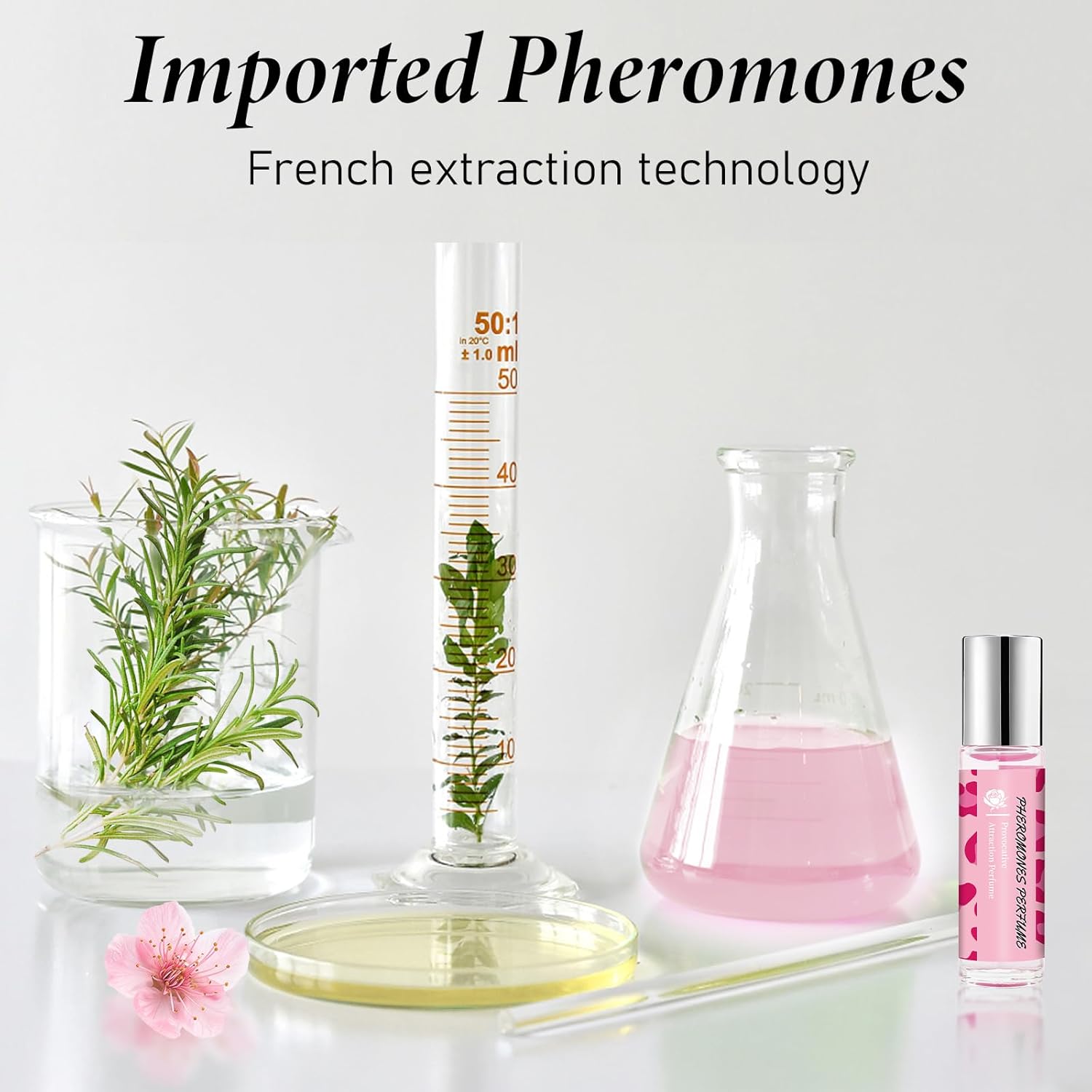 DIBALA Pheromones Perfume for Women,Long Lasting Natural Roll On Perfume Oil 10ml (0.34 fl oz) - Image 3