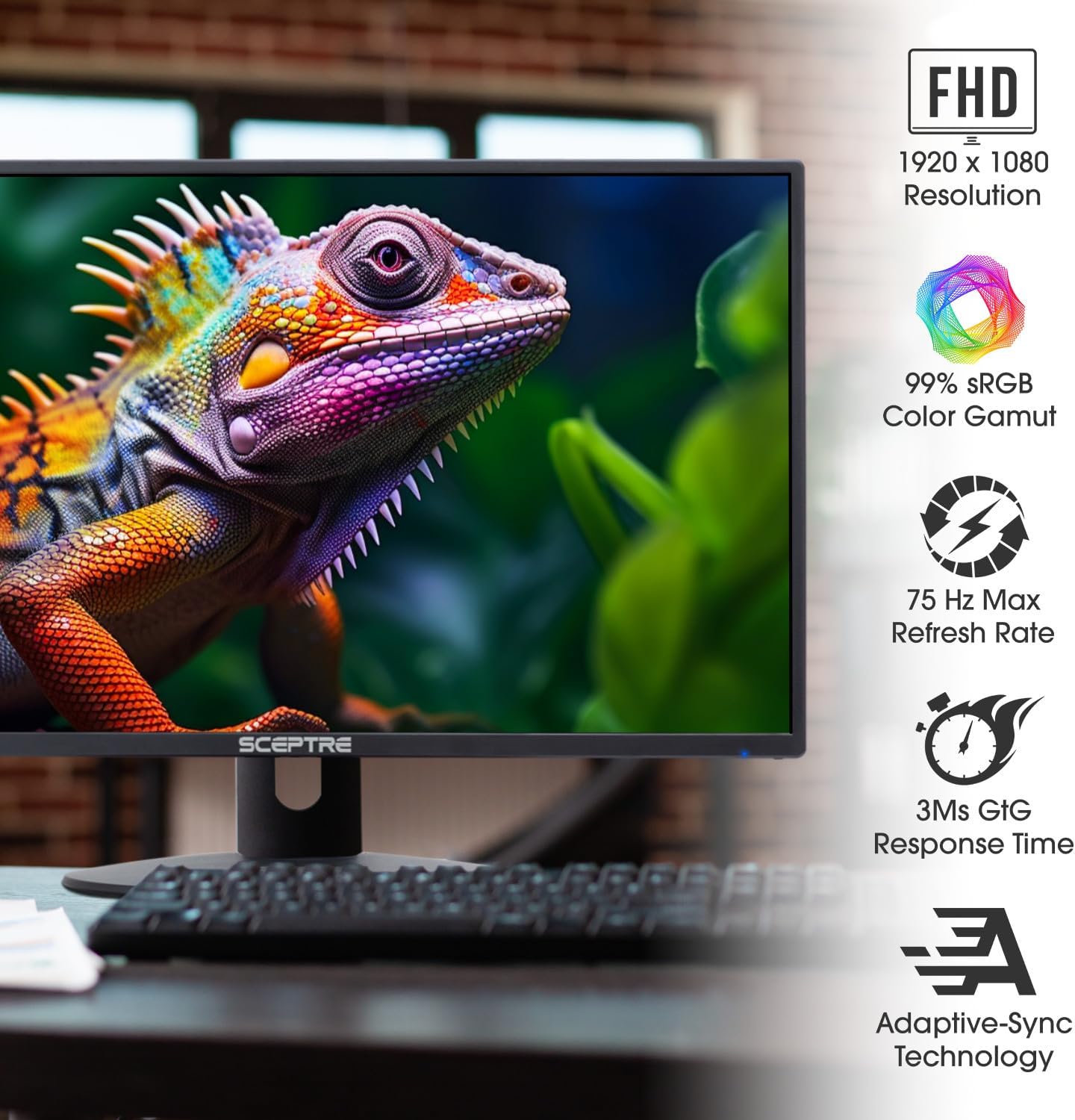 Sceptre 24-inch Prime Monitor Thin 1080p LED Monitor 99% sRGB 2x HDMI VGA Build-in Speakers, Machine Black (E248W-19203R 2025 Series) - Image 3