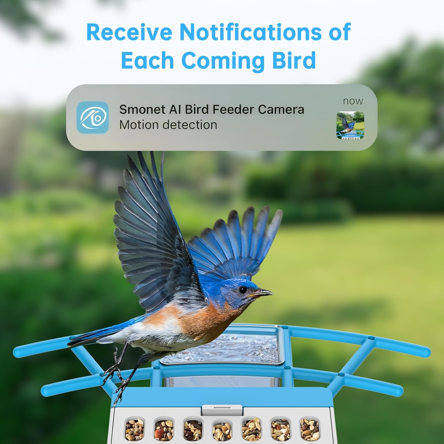 SMONET Bird Feeder with Camera B300: Smart Birdhouse Camera AI Recognition Solar Powered,Outdoor Wireless WiFi Birdfeeder Watching Live Video,Funny Birthday Gifts for Mom Mother Grandma Daughter - Image 5