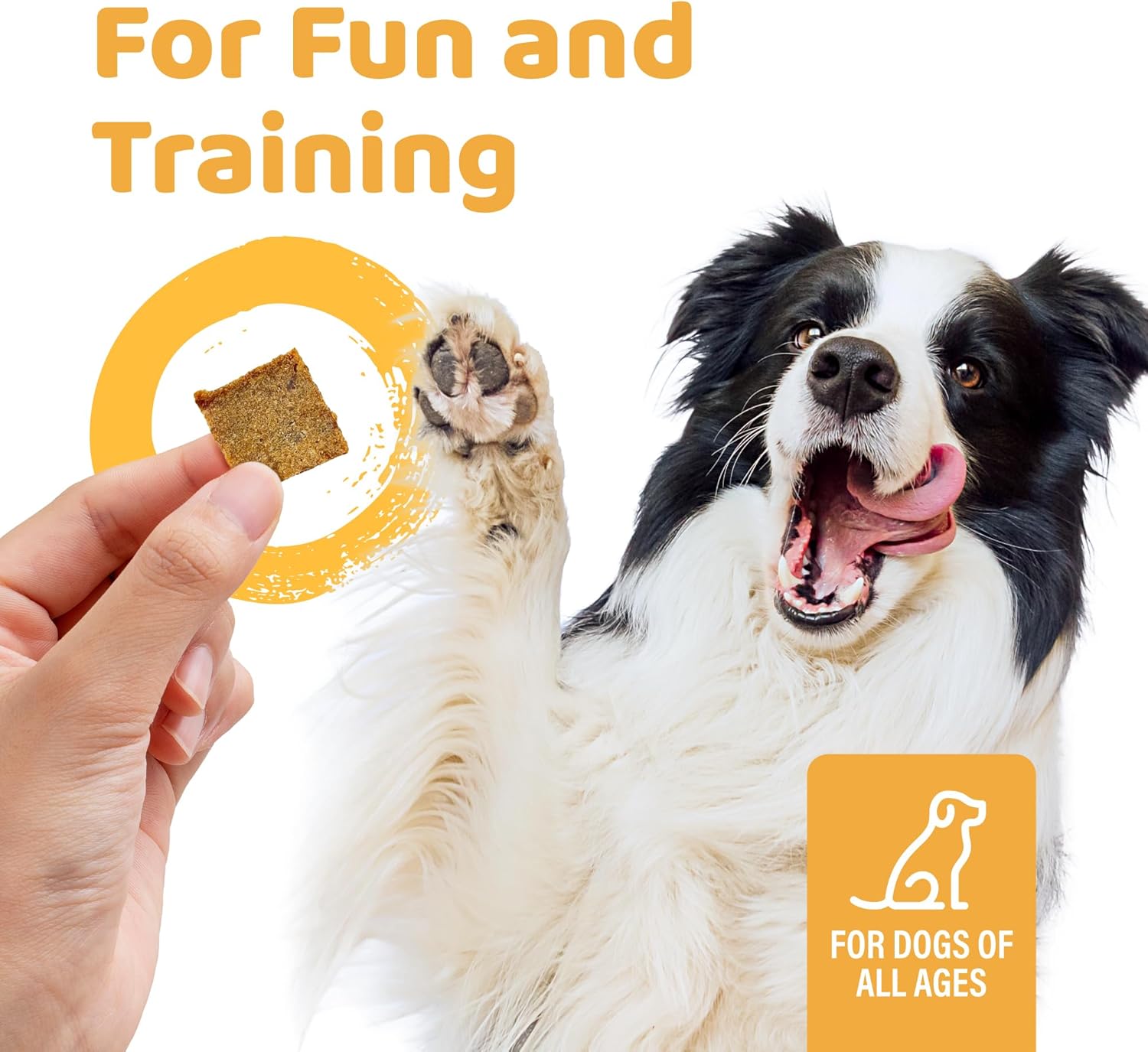 iPaw Air-Dried Turkey Dog Treats, Extra Virgin Olive Oil Added, Made with Turkey Meat, Chicken Heart and Duck Liver, High Protein, Soft Treats for All Age Dogs, Freeze-Dried Alternative (3.5oz/Pack) - Image 6