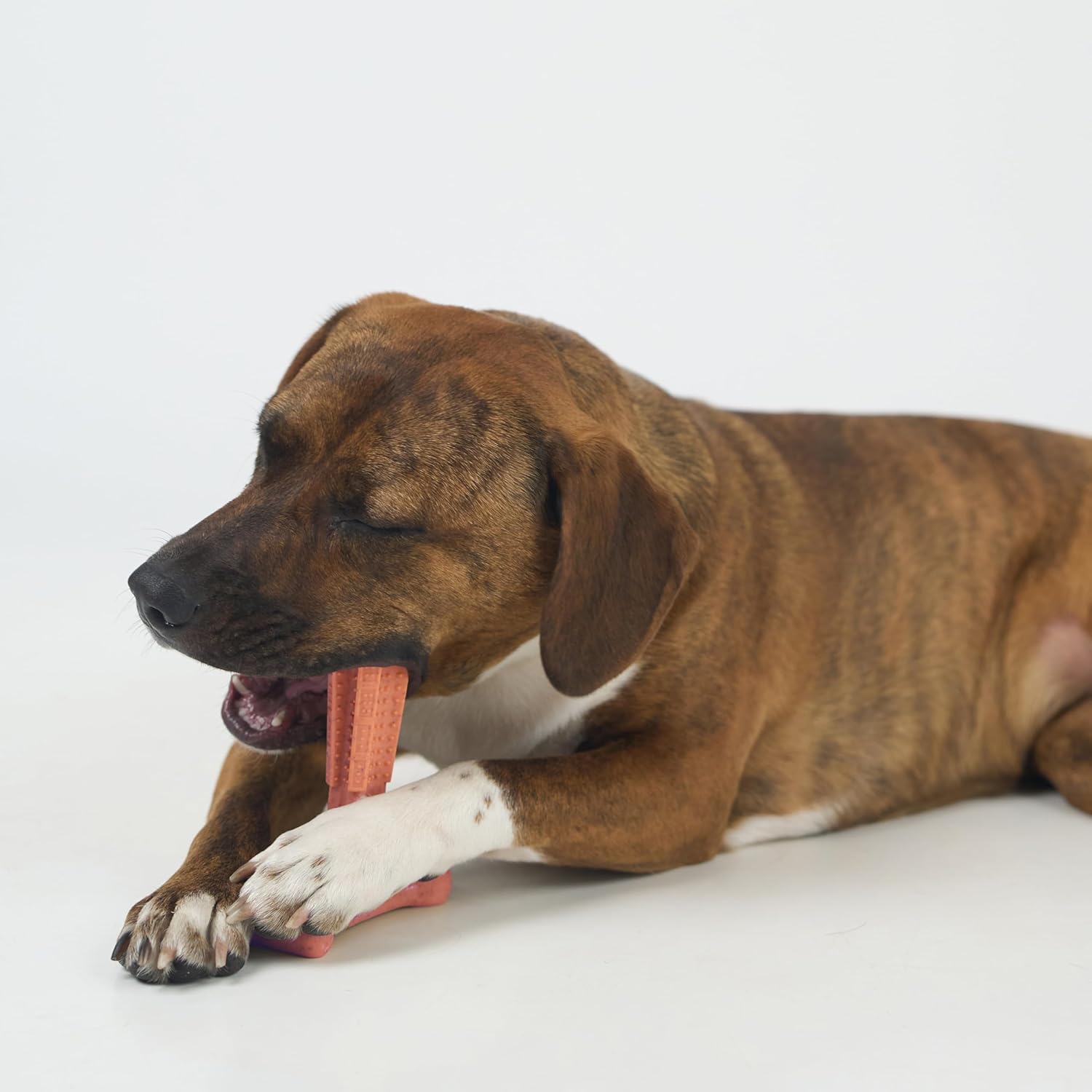 SPOT Bam-Bones Plus T Bone – Bamboo Fiber & Nylon Dog Chew Toy for Moderate to Aggressive Chewers, Durable Long Lasting & Non-Splintering, Beef Flavor Toy for Adult Dogs & Puppies Under 60 lbs, 6 in - Image 15