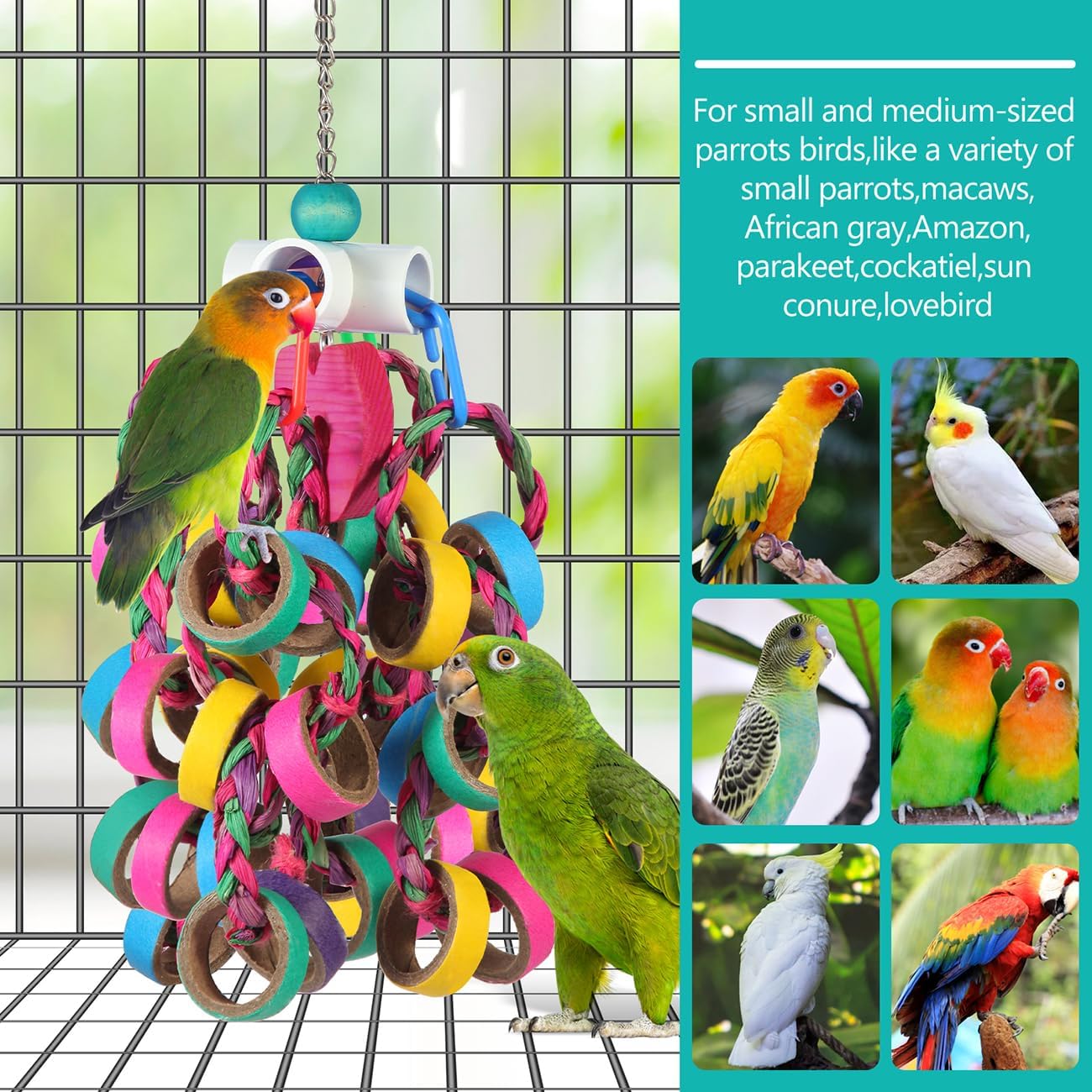 Bird Toys Conure Toys,Bird Parrot Foraging Shredder 24 Pcs Colorful Bagel Chewy Rings for Small Parrots Parakeets Conures Cockatiels Love Bird Cage Accessies (W) - Image 3