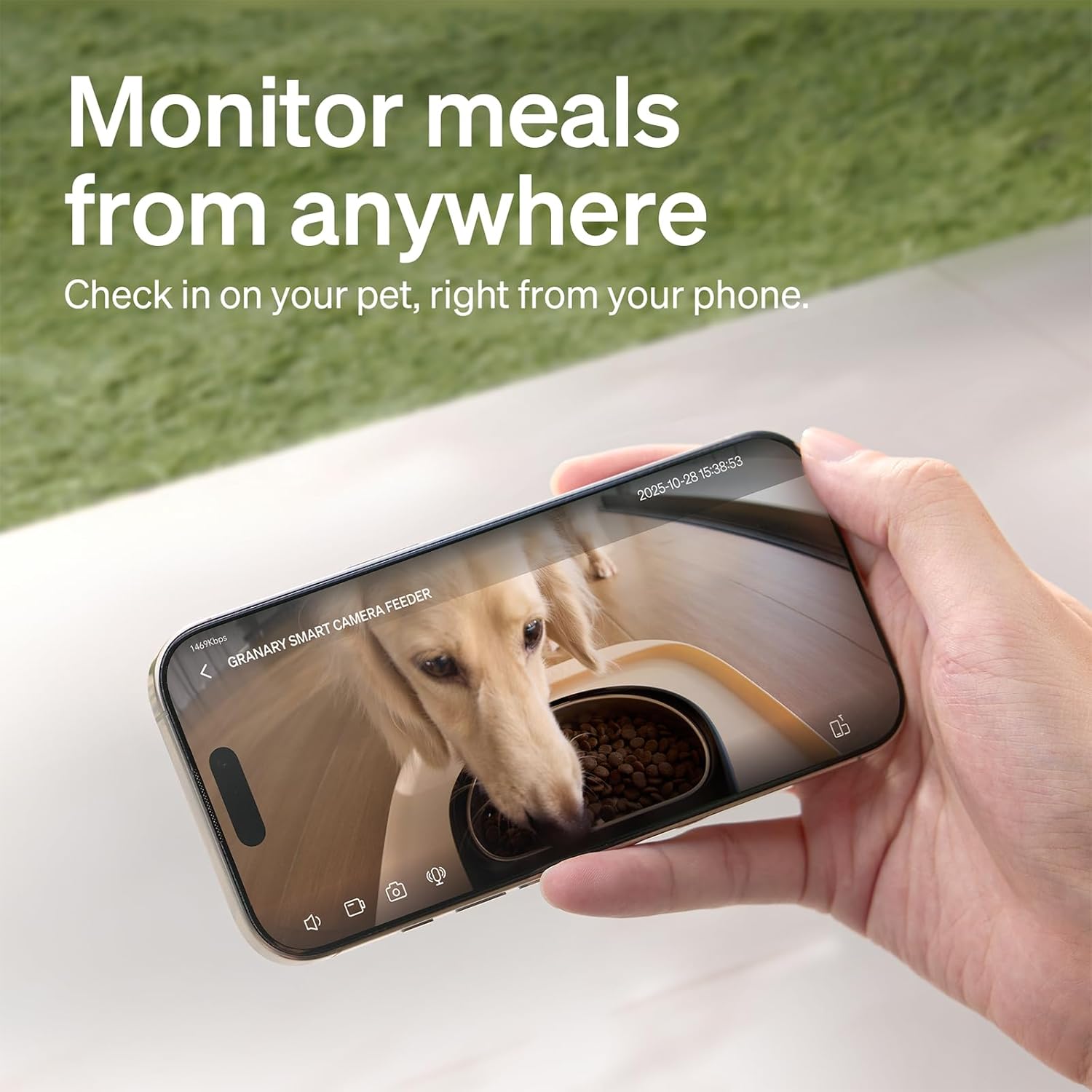 PETLIBRO Automatic Cat Feeder with Camera, 1080P HD Video with Night Vision, 5G WiFi Pet Feeder with 2-Way Audio, Low Food & Blockage Sensor, Motion & Sound Alerts for Cat & Dog Single Tray - Image 6