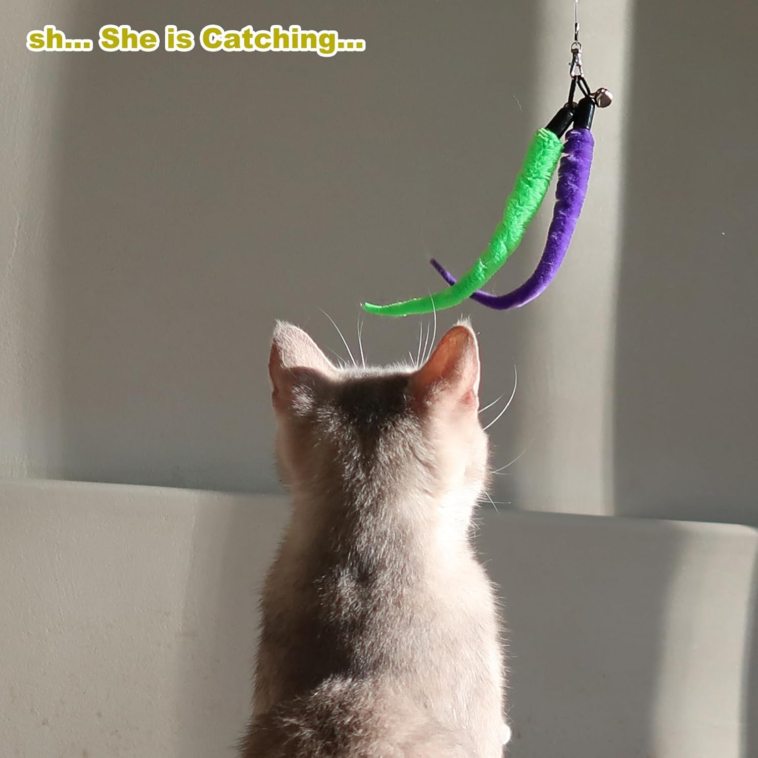 Cat Toys for Indoor Cats, Interactive Cat Toy 2PCS Retractable Wand Toy and 9PCS Cat Feather Toys Refills, Funny Kitten Toys Cat Fishing Pole Toy for Bored Indoor Cats Chase and Exercise - Image 8