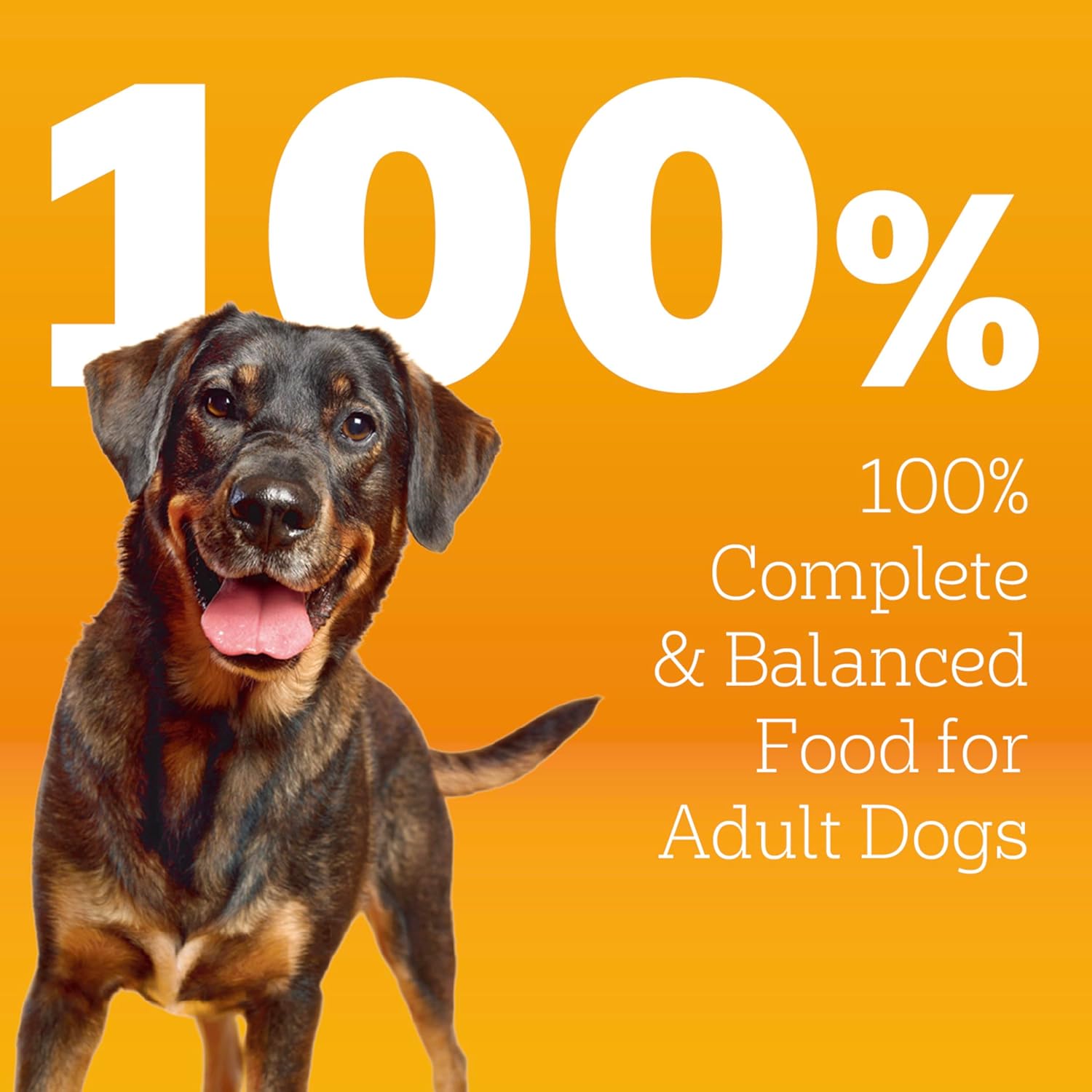 Pedigree Dry Dog Food for Adult Dogs, High Protein, Beef and Lamb Flavor, 18 lb. Bag - Image 3