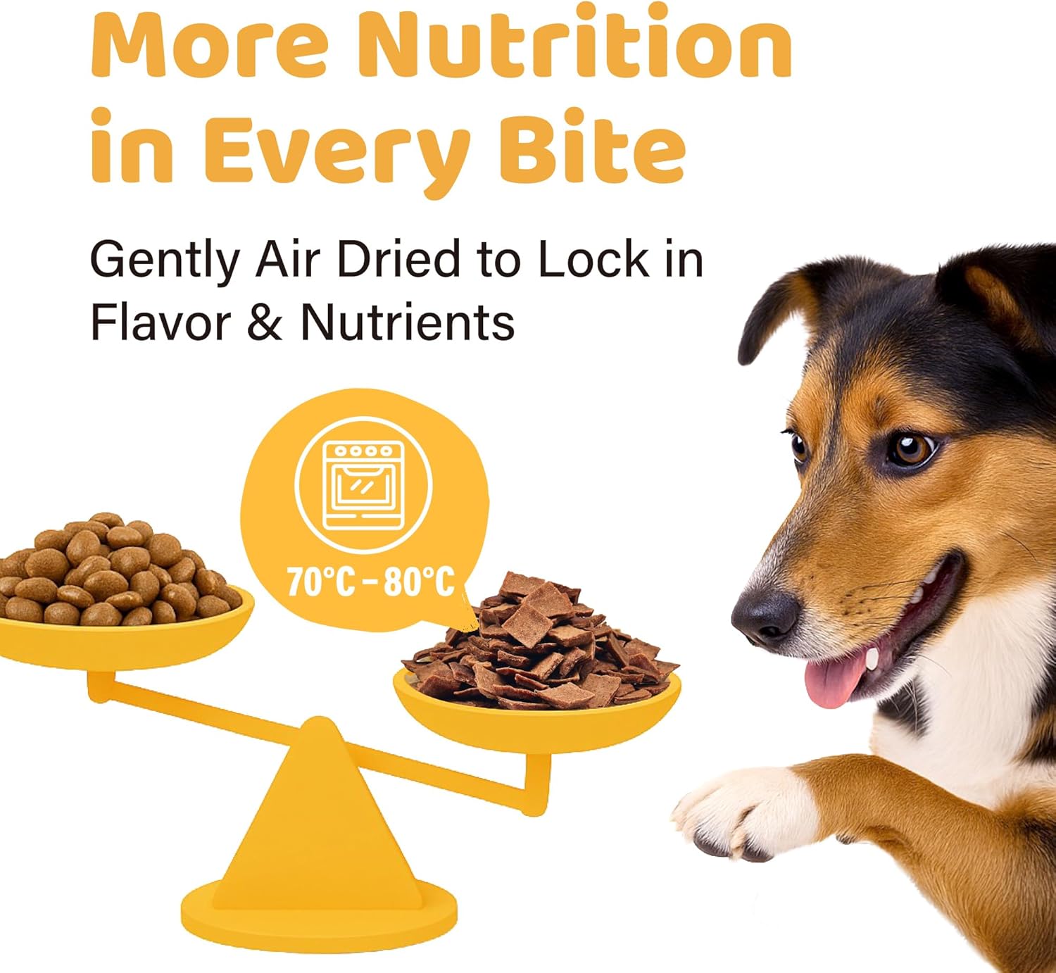 iPaw Air-Dried Turkey Dog Treats, Extra Virgin Olive Oil Added, Made with Turkey Meat, Chicken Heart and Duck Liver, High Protein, Soft Treats for All Age Dogs, Freeze-Dried Alternative (3.5oz/Pack) - Image 4