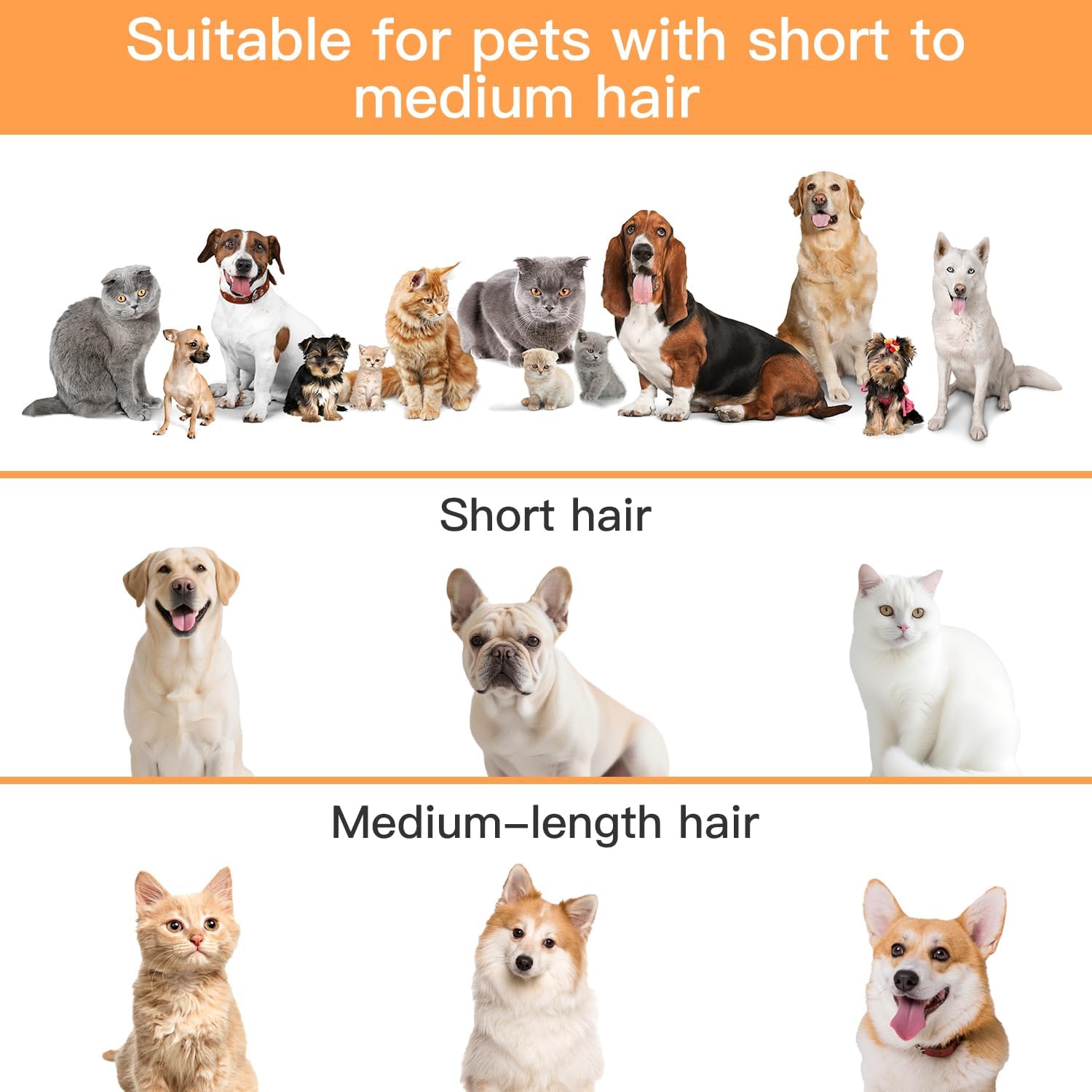 AIRROBO Dog Grooming Vacuum Kit,12000Pa Strong Pet Vacuum for Shedding,Grooming Hai,Quiet,PG100,2L Large Capacity - Image 9
