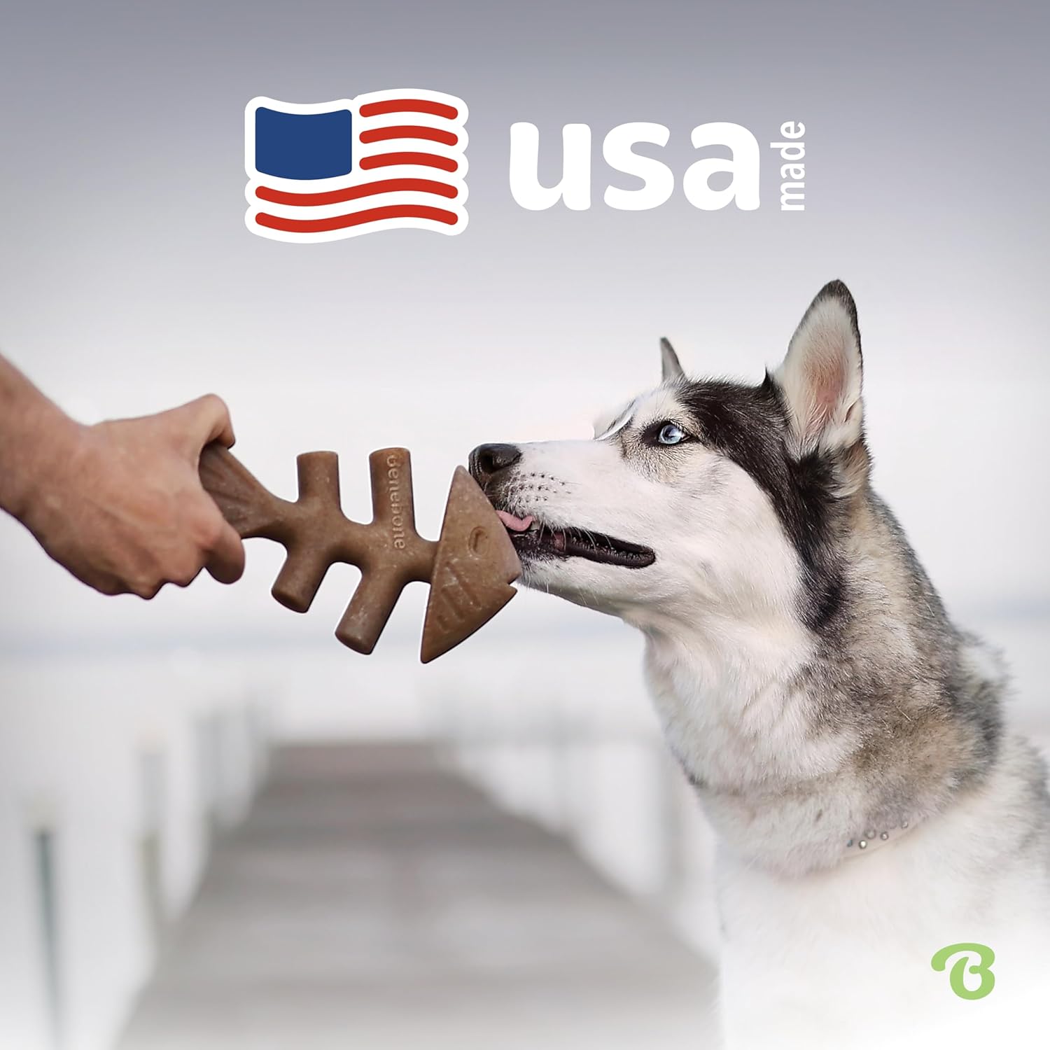 Benebone Fishbone Durable Dog Chew Toy for Aggressive Chewers, Real Fish, Made in USA, Small - Image 5
