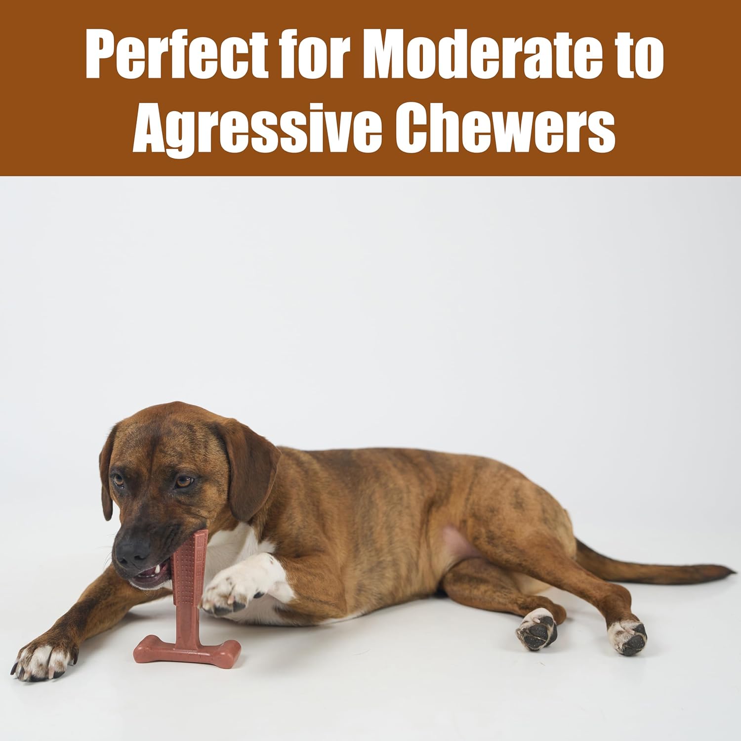 SPOT Bam-Bones Plus T Bone – Bamboo Fiber & Nylon Dog Chew Toy for Moderate to Aggressive Chewers, Durable Long Lasting & Non-Splintering, Beef Flavor Toy for Adult Dogs & Puppies Under 60 lbs, 6 in - Image 6