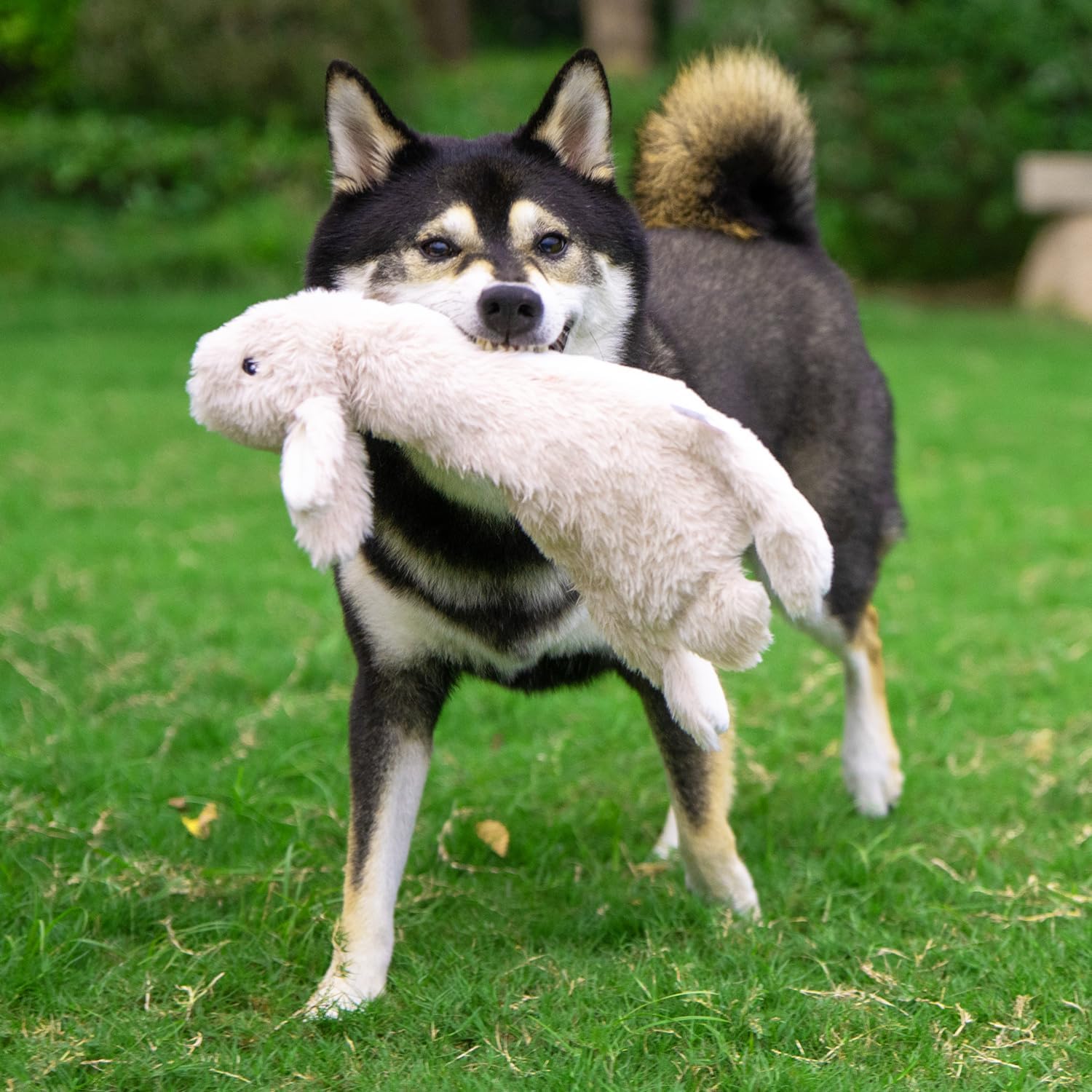 Best Pet Supplies Squeaky Dog Toys with Soft Durable Fabric for Small, Medium and Large Pets Interactive Toy for Indoor Play, Supports Active Biting and Play - 4 Figures, Small - Image 10