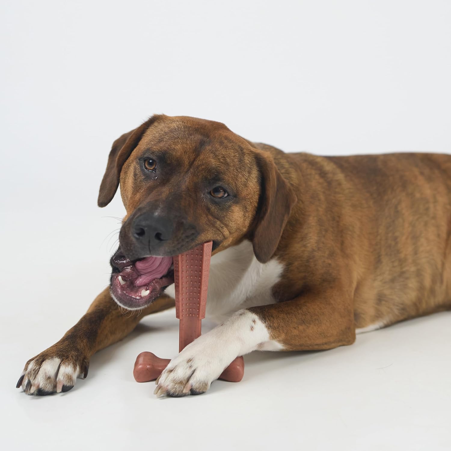 SPOT Bam-Bones Plus T Bone – Bamboo Fiber & Nylon Dog Chew Toy for Moderate to Aggressive Chewers, Durable Long Lasting & Non-Splintering, Beef Flavor Toy for Adult Dogs & Puppies Under 60 lbs, 6 in - Image 13