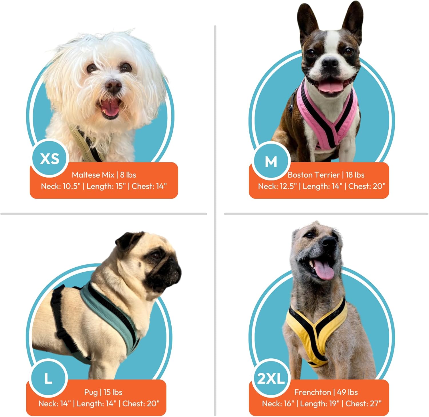 Gooby Comfort X One Dog Harness - Head-in Dog Harness for Small & Medium Sized Dogs - Escape-Free & Choke Free - Breathable Mesh, Shock Absorbing, Easy Snap & Swivel Buckles - Miami Yellow, 2X-Small - Image 6