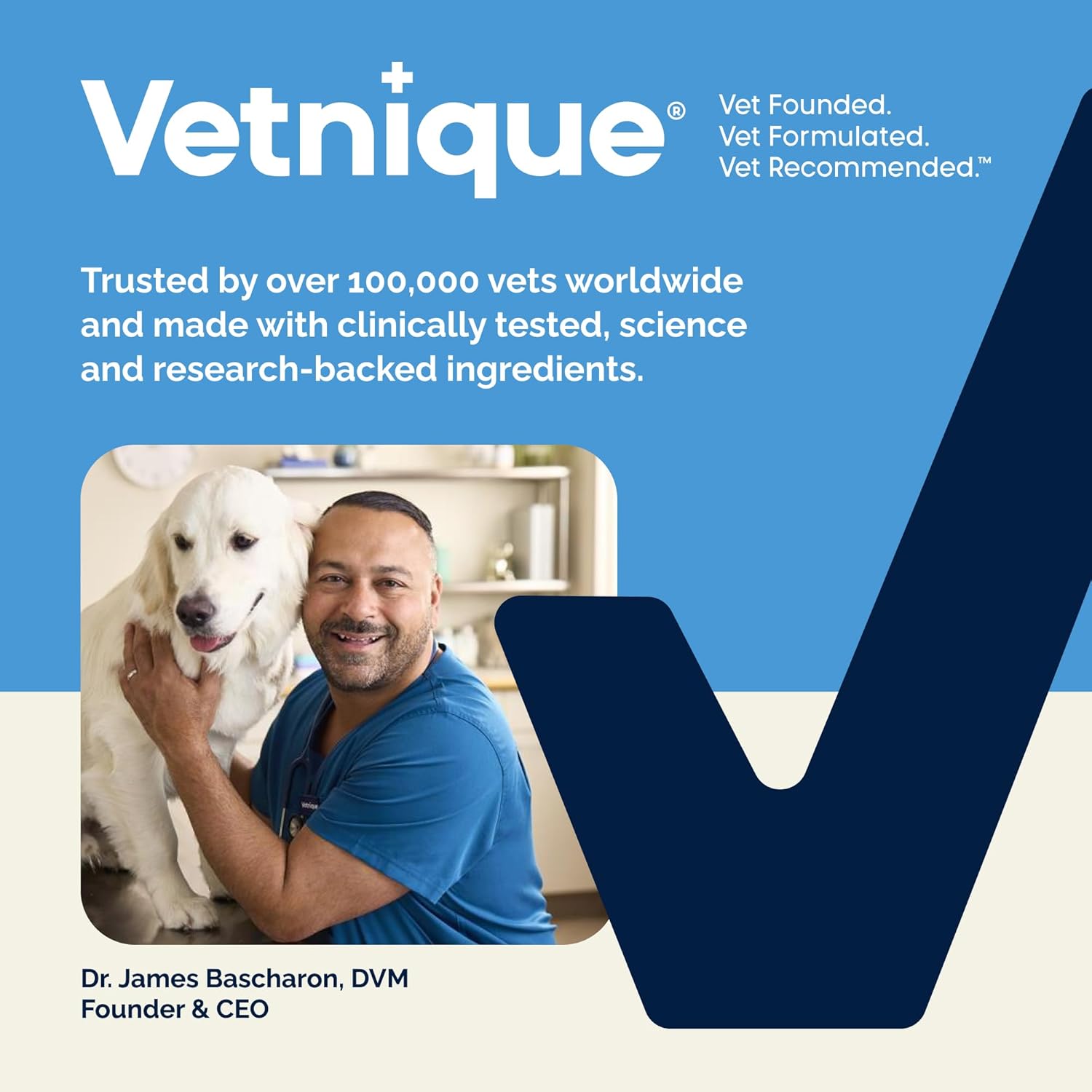Vetnique Glandex Anal Gland Soft Chew Treats with Pumpkin for Dogs Digestive Enzymes, Probiotics Fiber Supplement for Dogs Boot The Scoot (Peanut Butter Chews, 60 Count) - Image 8