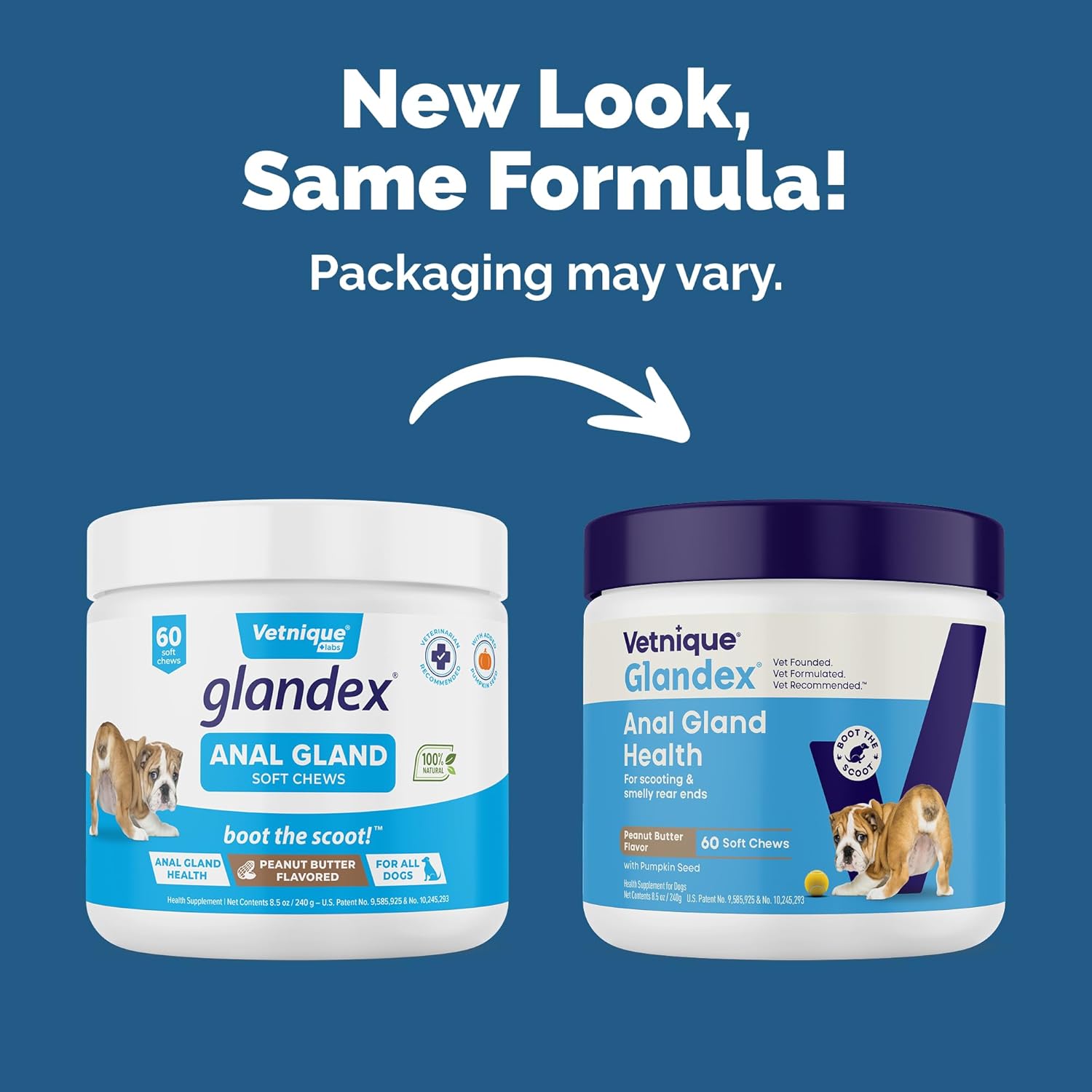 Vetnique Glandex Anal Gland Soft Chew Treats with Pumpkin for Dogs Digestive Enzymes, Probiotics Fiber Supplement for Dogs Boot The Scoot (Peanut Butter Chews, 60 Count) - Image 2