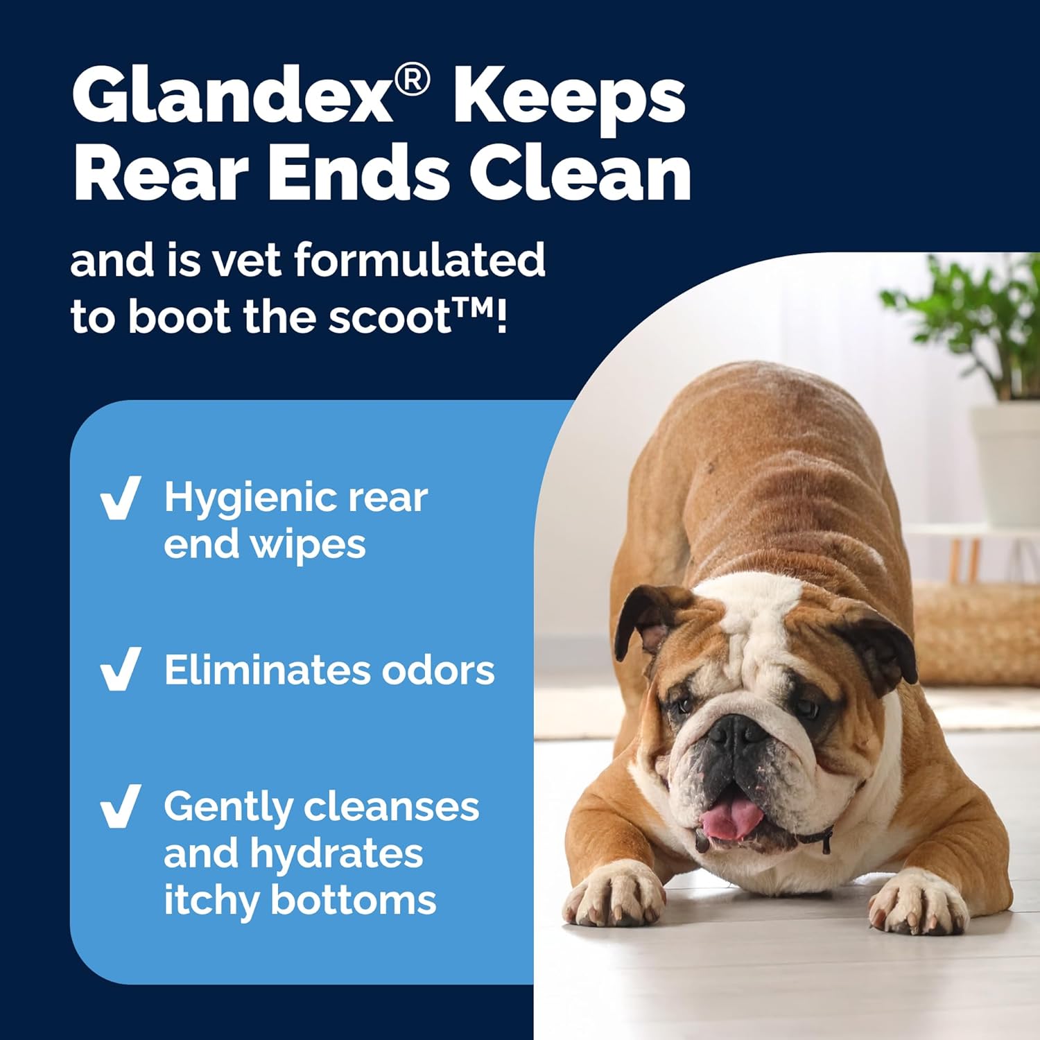 Vetnique Glandex Dog Wipes for Pets Cleansing & Deodorizing Anal Gland Hygienic Dog & Cat Wipes with Vitamin E, Skin Conditioners and Aloe (75ct) - Image 4