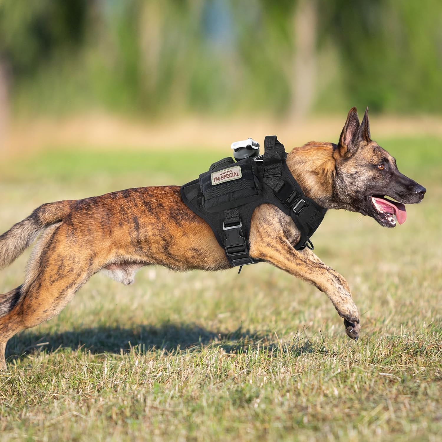 rabbitgoo Tactical Dog Harness for Large, Heavy Duty Pet Harness with Handle, No-Pull Service Vest Large Breed, Adjustable Military Dog Vest for Training Hunting Walking, Black, L - Image 8