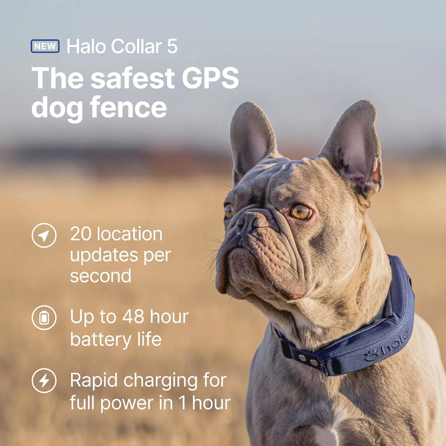 Halo Collar 5 Wireless Dog Fence & GPS Dog Collar, Keep Your Dog Safely Contained Outdoors with App-Controlled Boundaries and Real-Time Tracking, One Size, Blaze - Image 2