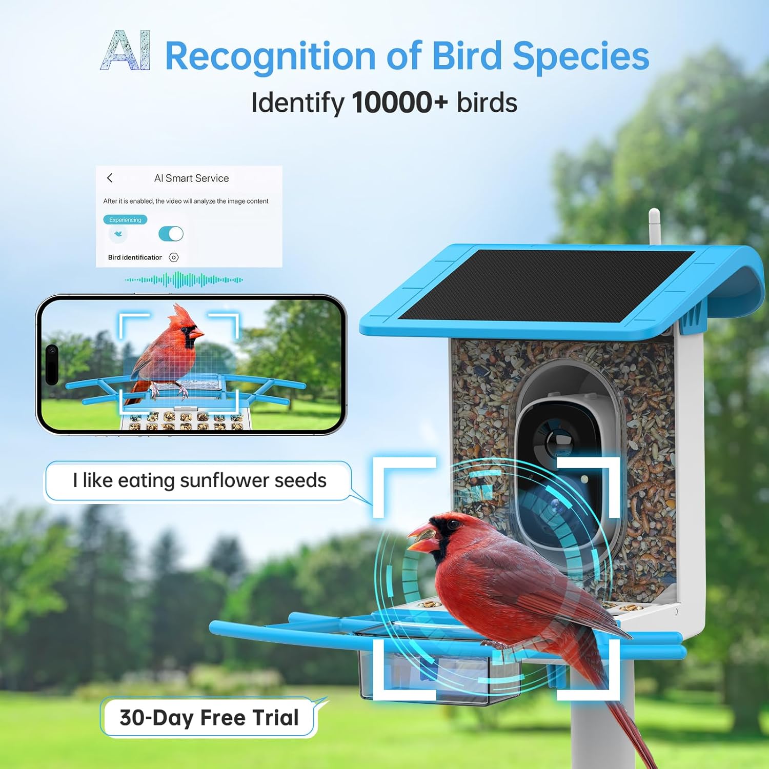SMONET Bird Feeder with Camera B300: Smart Birdhouse Camera AI Recognition Solar Powered,Outdoor Wireless WiFi Birdfeeder Watching Live Video,Funny Birthday Gifts for Mom Mother Grandma Daughter - Image 2