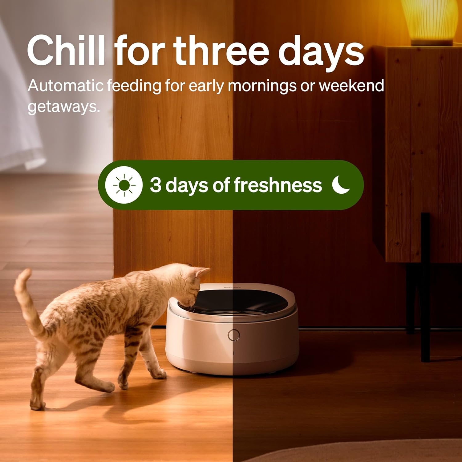 PETLIBRO Automatic Cat Feeder Wet Food with Stainless Steel Bowl, Refrigerated Auto Cat Feeder with Semiconductor Cooling, 3 Fresh Meals for 3 Days, App-Controlled Pet Food Dispenser, Easy to Clean - Image 2