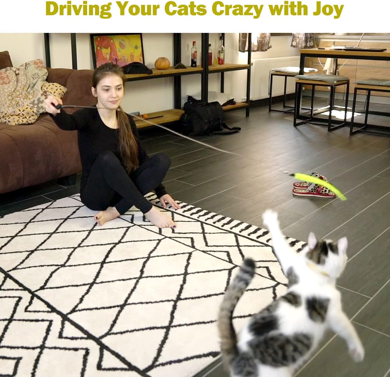 Cat Toys for Indoor Cats, Interactive Cat Toy 2PCS Retractable Wand Toy and 9PCS Cat Feather Toys Refills, Funny Kitten Toys Cat Fishing Pole Toy for Bored Indoor Cats Chase and Exercise - Image 7