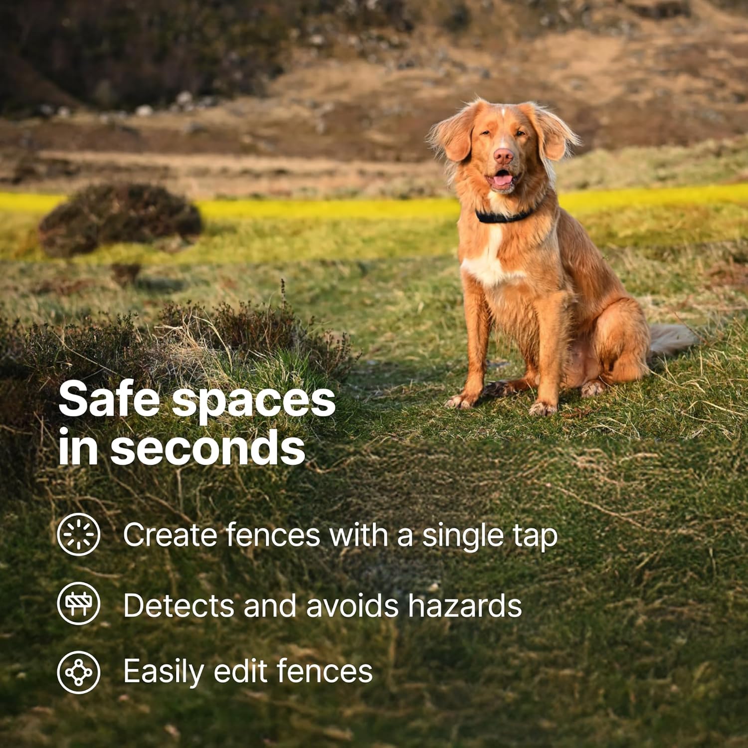 Halo Collar 5 Wireless Dog Fence & GPS Dog Collar, Keep Your Dog Safely Contained Outdoors with App-Controlled Boundaries and Real-Time Tracking, One Size, Realtree Camo - Image 4