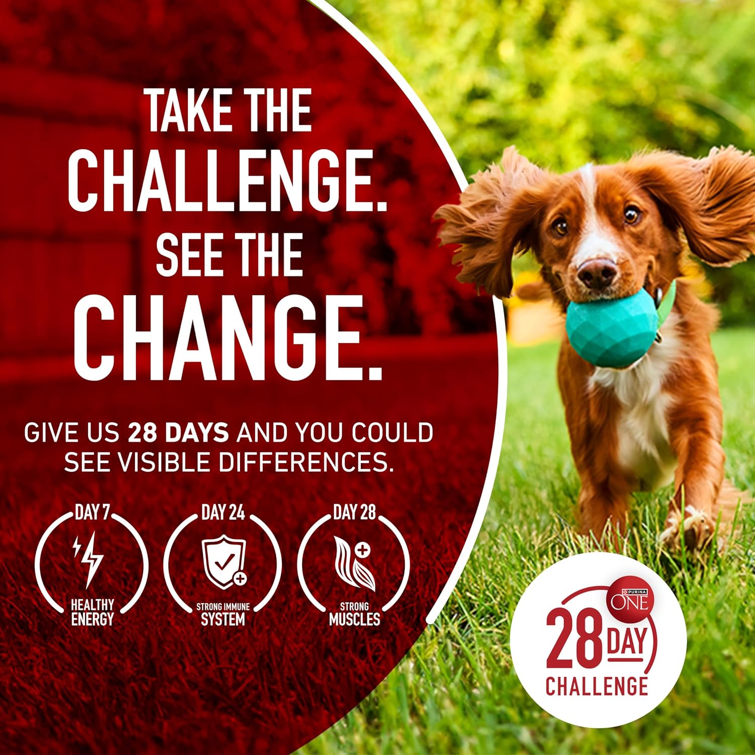 Purina ONE True Instinct With A Blend Of Real Turkey and Venison Dry Dog Food - 7.4 lb. Bag - Image 11