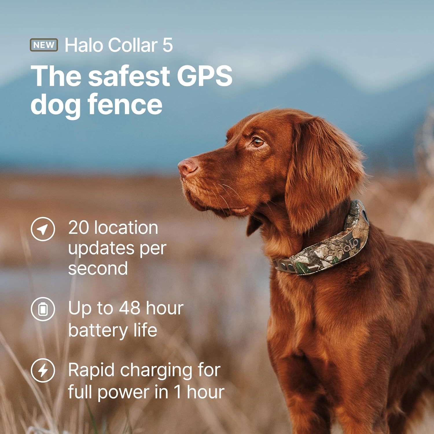 Halo Collar 5 Wireless Dog Fence & GPS Dog Collar, Keep Your Dog Safely Contained Outdoors with App-Controlled Boundaries and Real-Time Tracking, One Size, Realtree Camo - Image 2