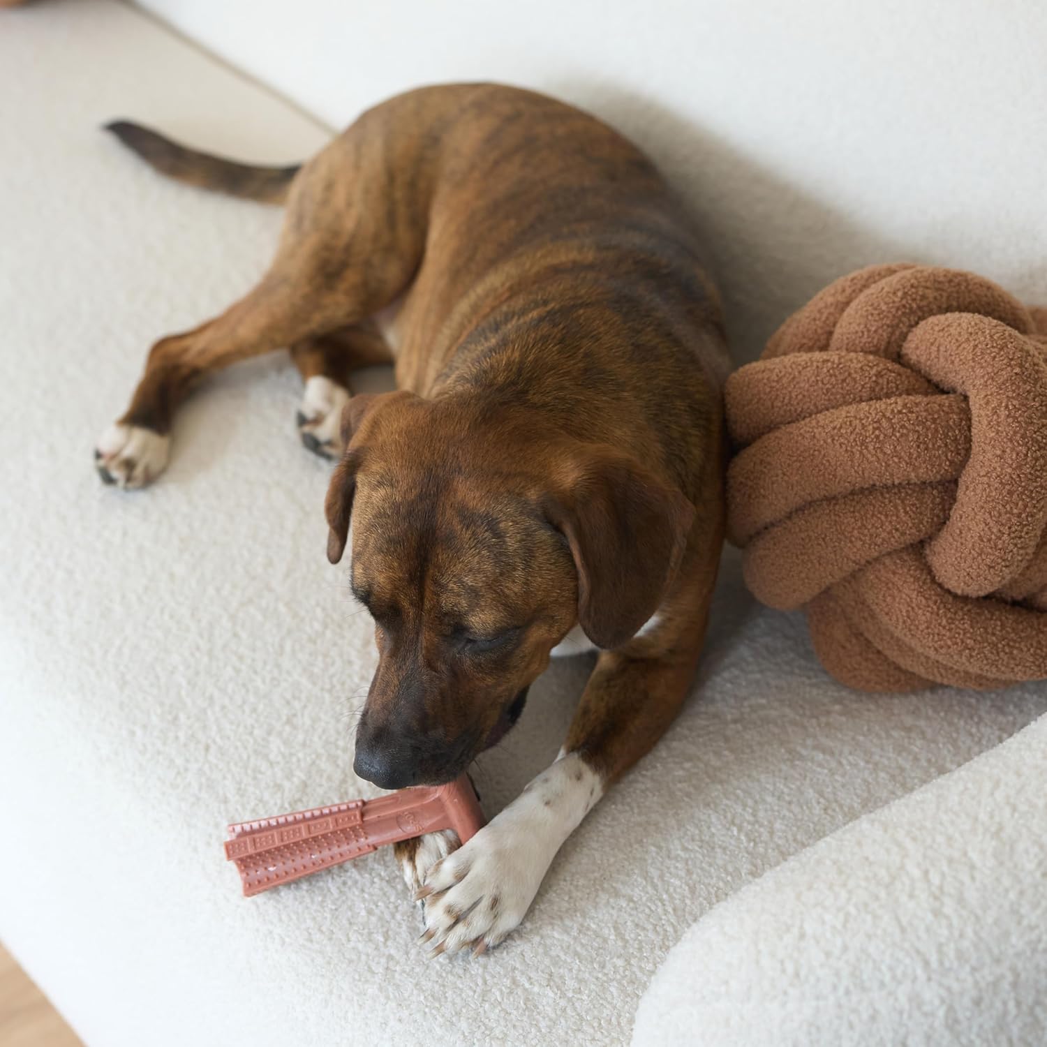 SPOT Bam-Bones Plus T Bone – Bamboo Fiber & Nylon Dog Chew Toy for Moderate to Aggressive Chewers, Durable Long Lasting & Non-Splintering, Beef Flavor Toy for Adult Dogs & Puppies Under 60 lbs, 6 in - Image 11