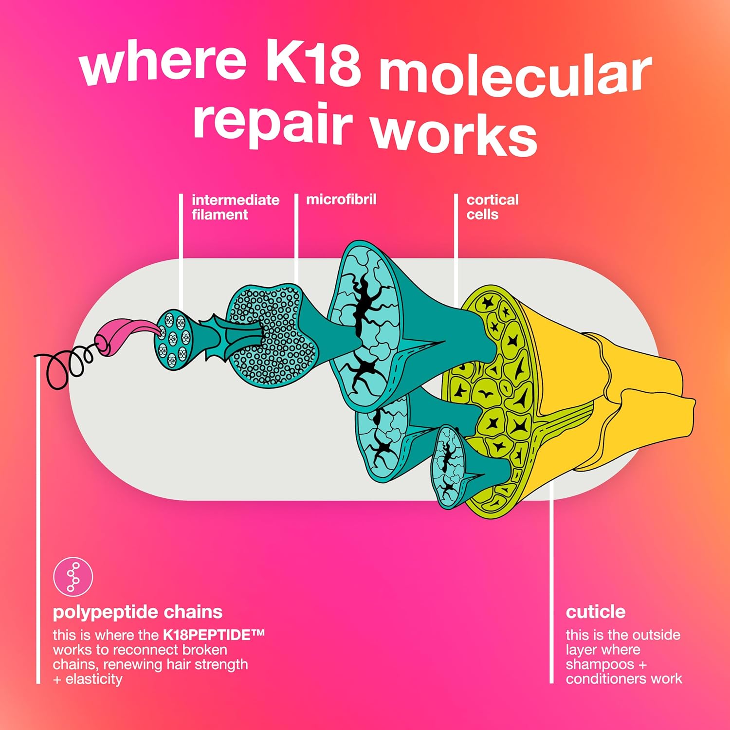 K18 Leave-In Molecular Repair Hair Mask, Patented, Lasting Repair For Dry, Frizzy, Damaged Hair, Reverse Damage In 4 Minutes From Bleach, Color, Chemical Services + Heat - Image 6