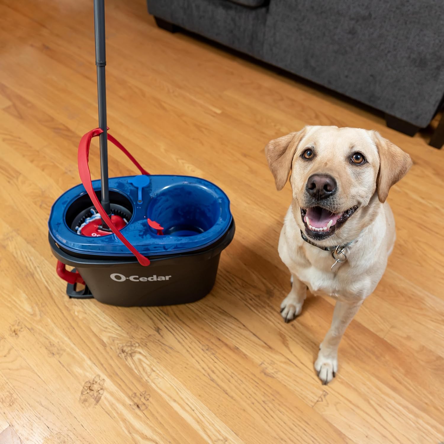 O-Cedar RinseClean Spin Mop & Bucket System | Clean with Water | Removes 99% of Bacteria - Image 16