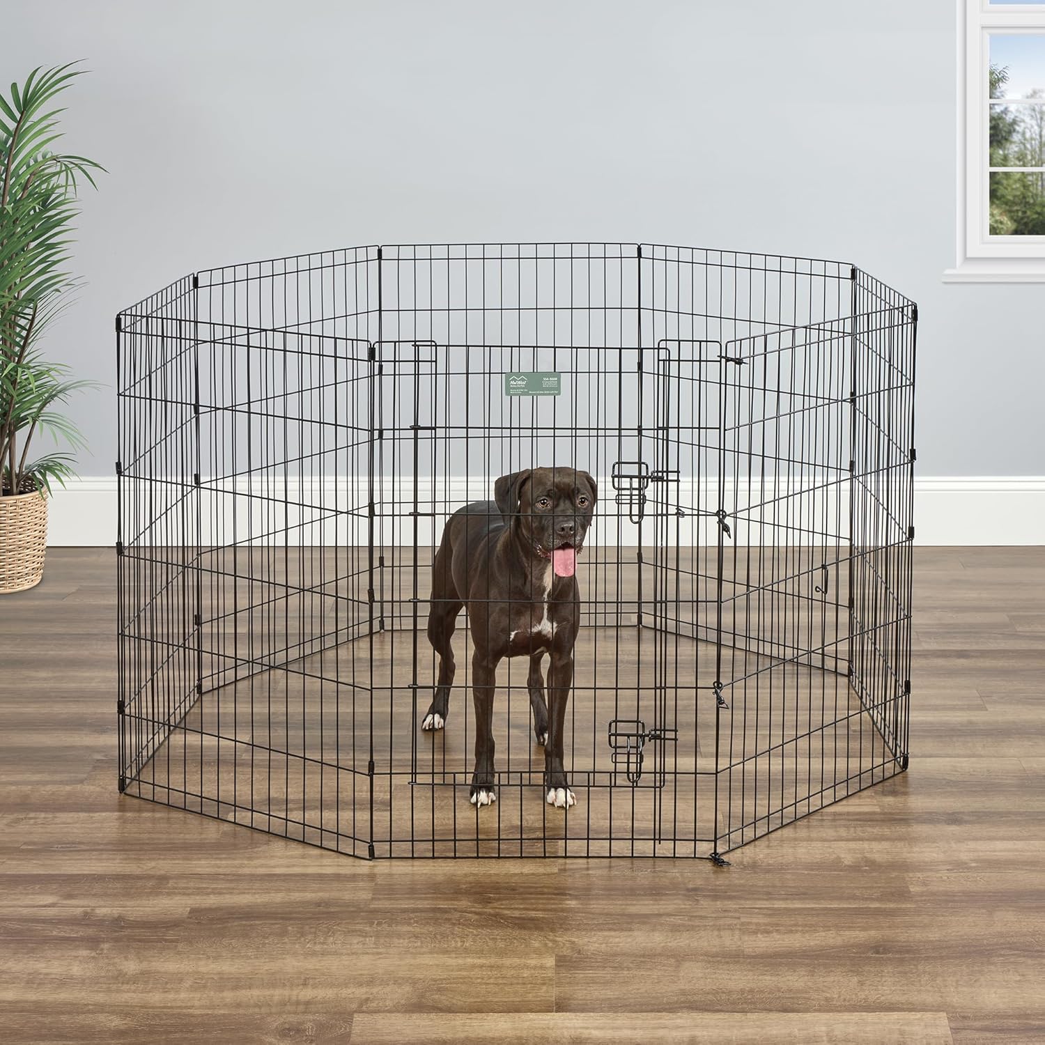 MidWest Homes for Pets Folding Metal Dog Exercise Pen, Indoor/Outdoor Playpen with Secure Door, Provides 16 Sq Feet of Play Space, 36-Inches Tall, Black E-Coated - Image 3