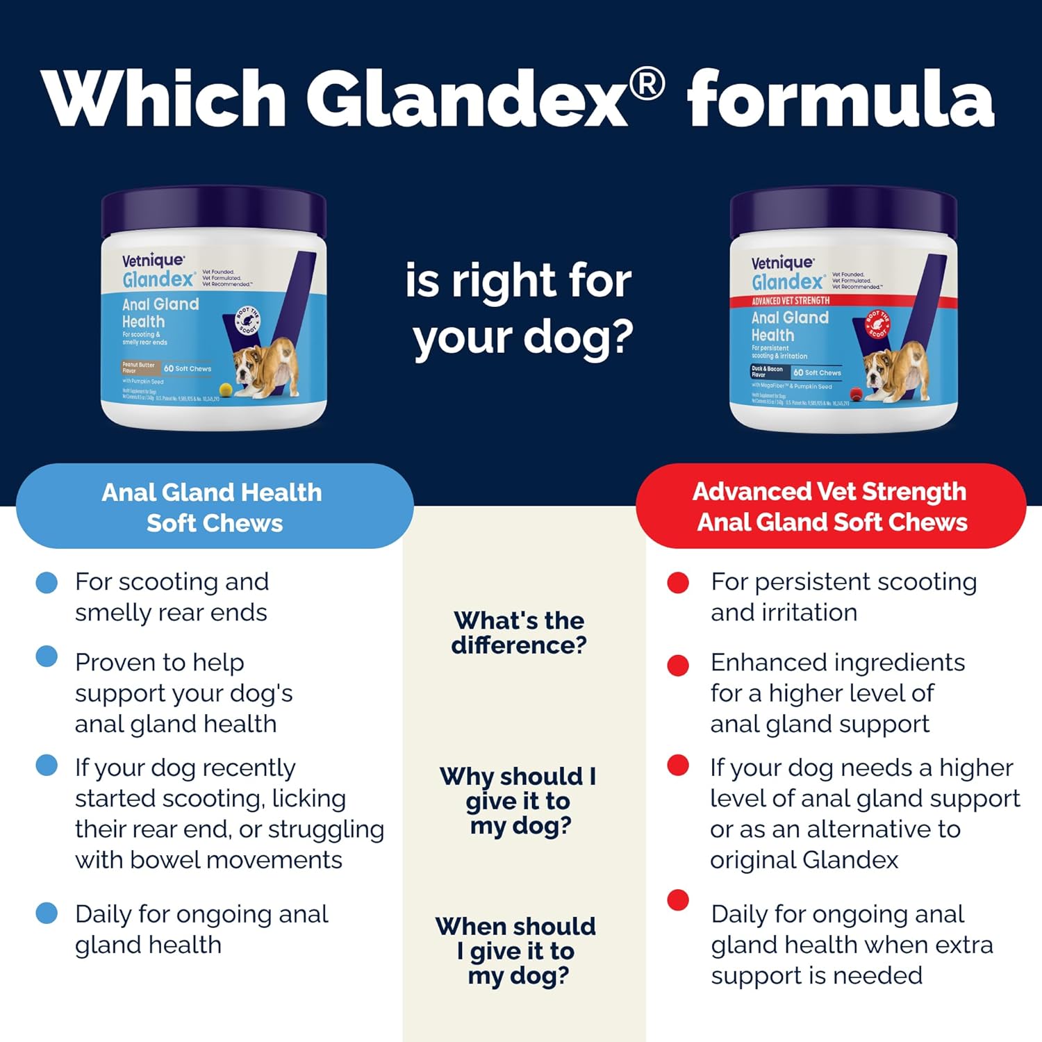 Vetnique Glandex Anal Gland Soft Chew Treats with Pumpkin for Dogs Digestive Enzymes, Probiotics Fiber Supplement for Dogs Boot The Scoot (Peanut Butter Chews, 60 Count) - Image 6
