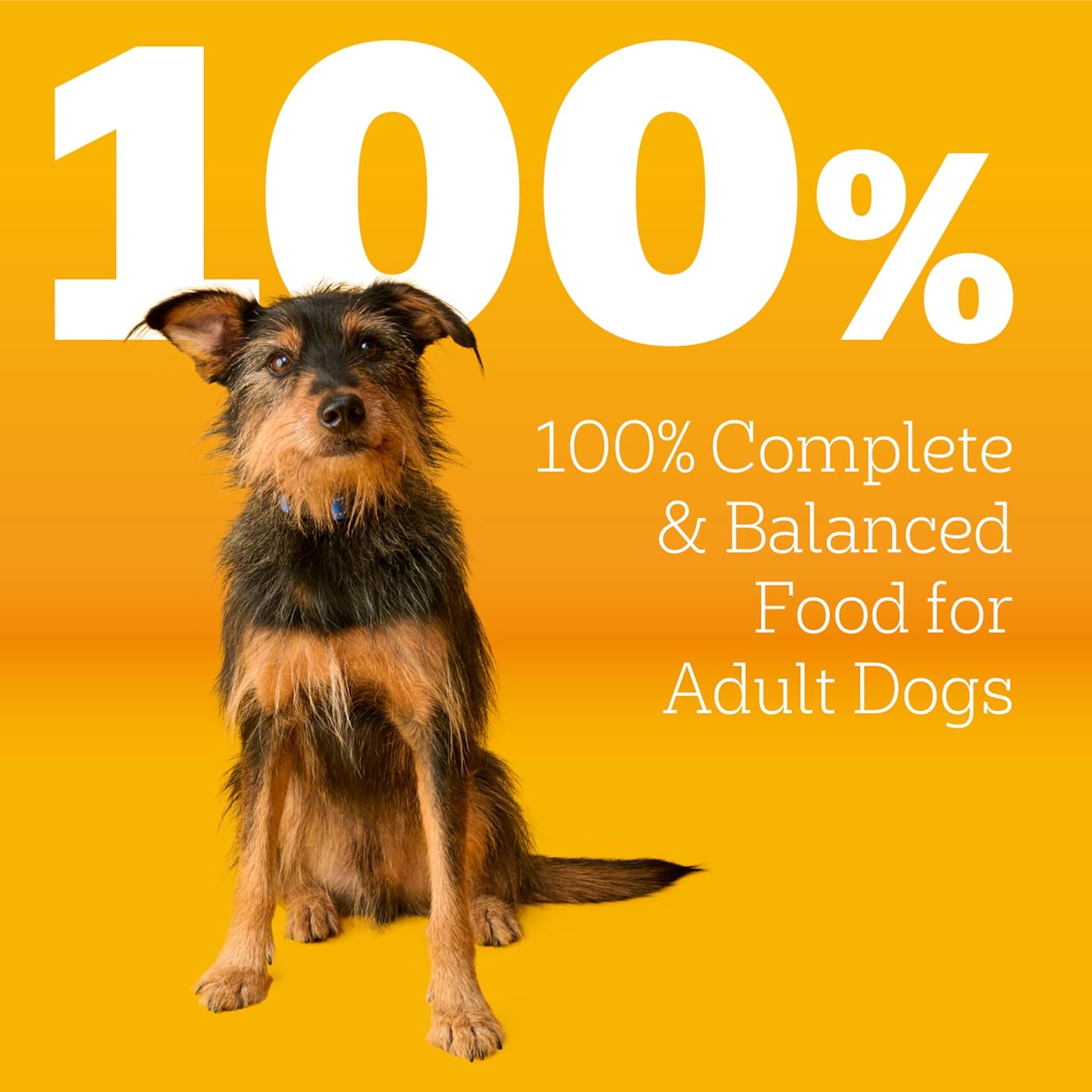 Pedigree Adult Dry Dog Food, Complete Nutrition, Roasted Chicken & Vegetable Flavor, 18 lb. Bag - Image 3