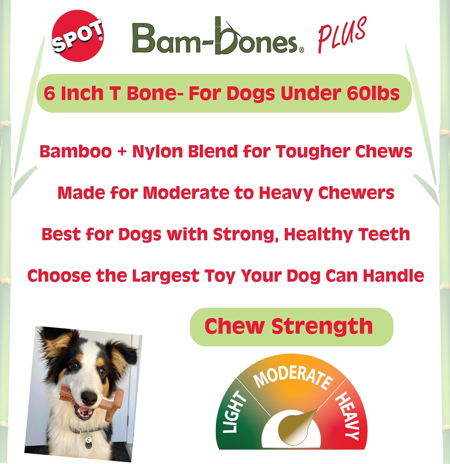 SPOT Bam-Bones Plus T Bone – Bamboo Fiber & Nylon Dog Chew Toy for Moderate to Aggressive Chewers, Durable Long Lasting & Non-Splintering, Beef Flavor Toy for Adult Dogs & Puppies Under 60 lbs, 6 in - Image 3