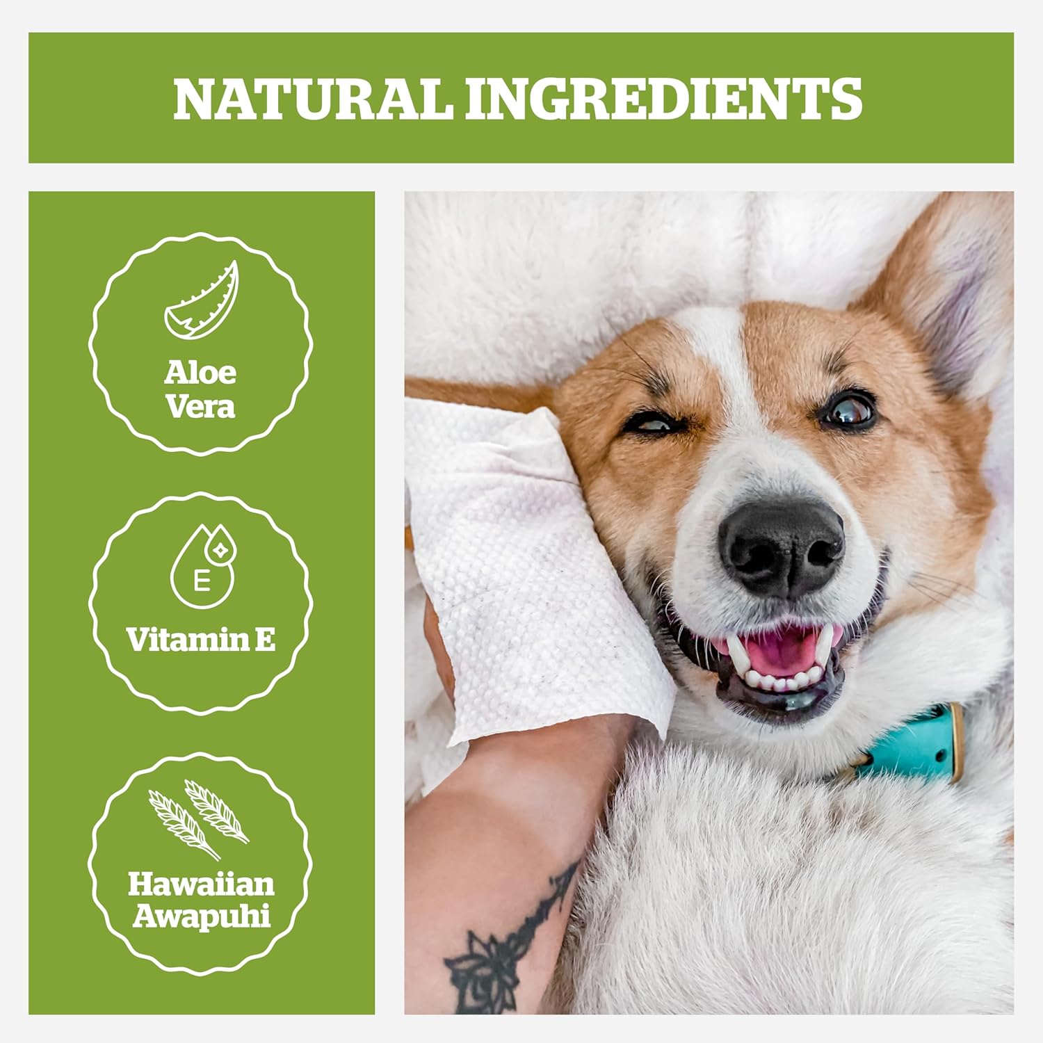 Pogi’s Dog Grooming Wipes – Hypoallergenic Pet Wipes for Paws, Body & Butt – Cleaning & Hydrating, Fragrance Free, 100-Count - Image 3