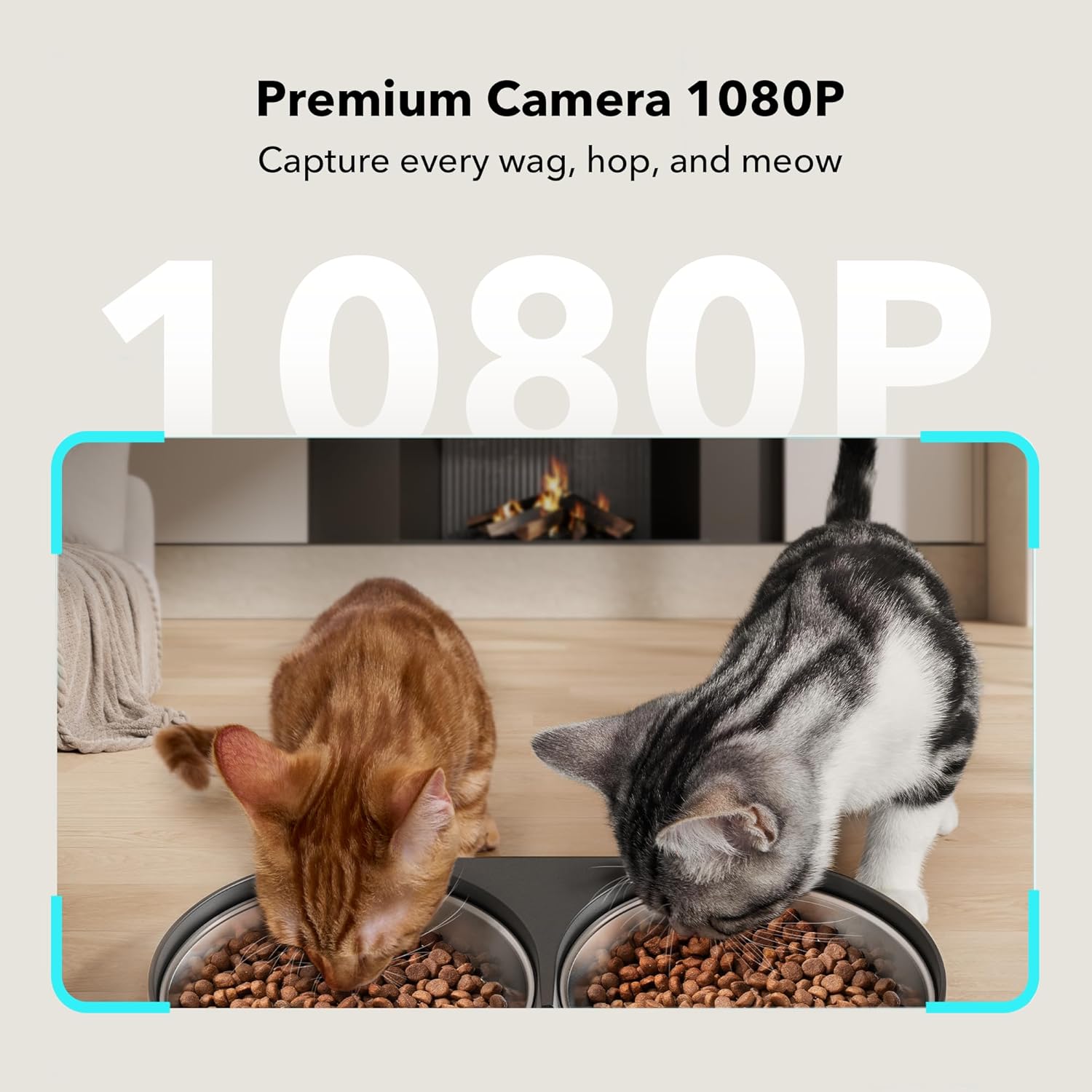 PETLIBRO Automatic Cat Feeder with Camera for Two Cats, 1080P HD Video with Night Vision, 5G WiFi Pet Feeder with 2-Way Audio for Cat & Dog, Low Food & Motion & Sound Alerts, Dual Tray, Black 5L - Image 2