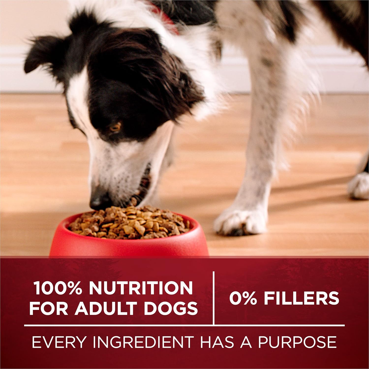 Purina ONE True Instinct With A Blend Of Real Turkey and Venison Dry Dog Food - 7.4 lb. Bag - Image 8