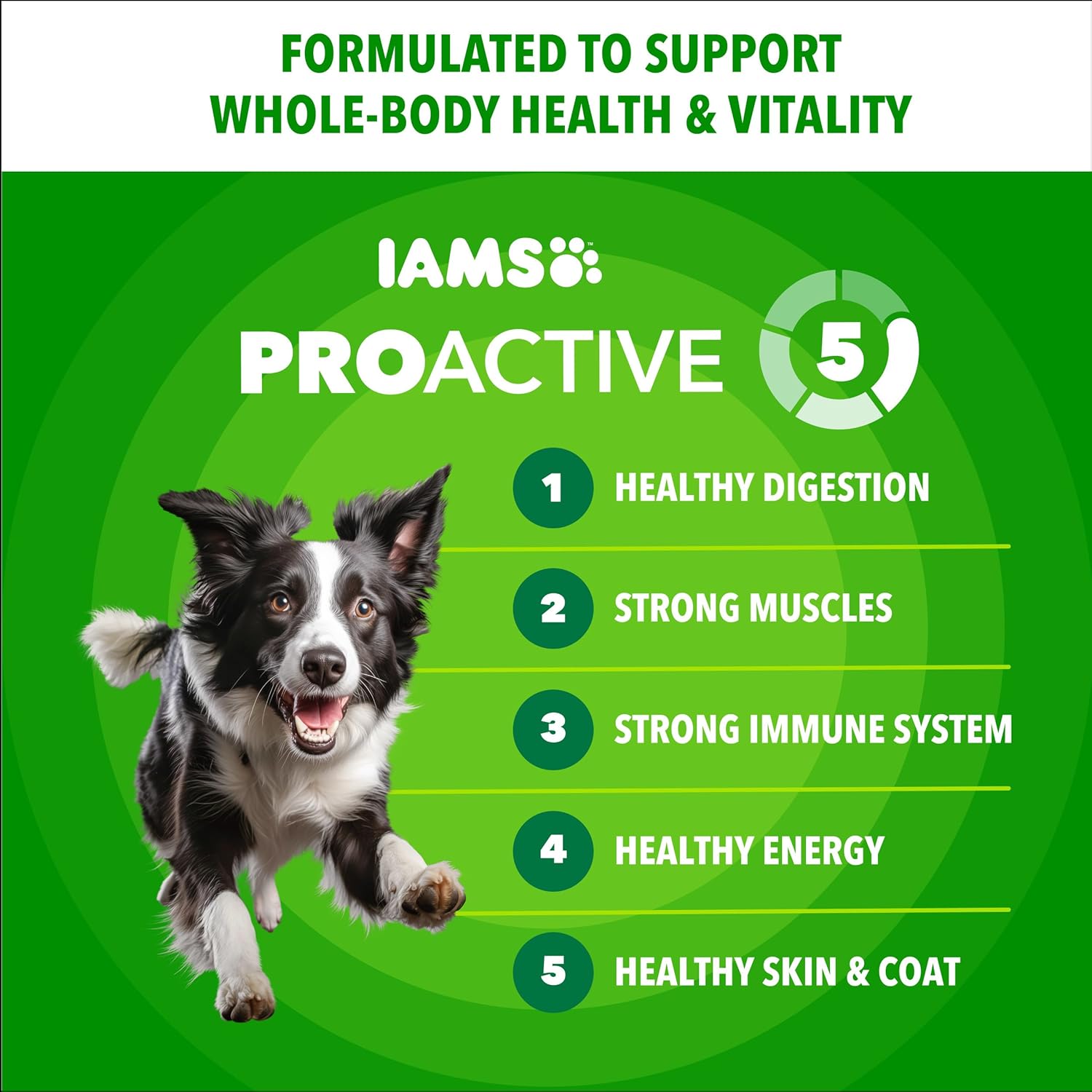 IAMS Proactive Health Adult Minichunks Premium Dry Dog Food, Adult Dog Food Dry Recipe, 30 lb. Bag - Image 3