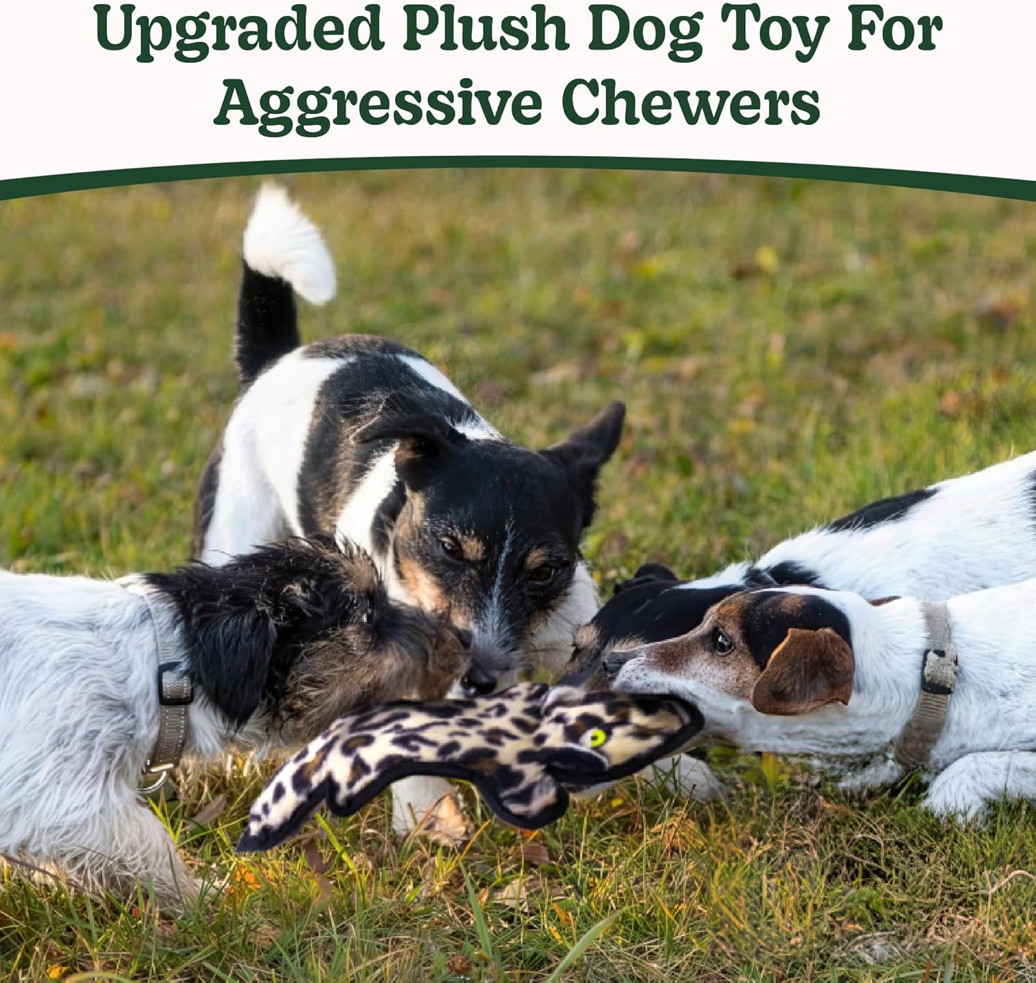 SHARLOVY No Stuffing Dog Toys Crinkle Squeaky, Long Lasting Chews for Aggressive, Durable Plush Dog Puppy Chew Toys for Teething, with 6 Tough Layers for Small Medium Large Breed - Image 2
